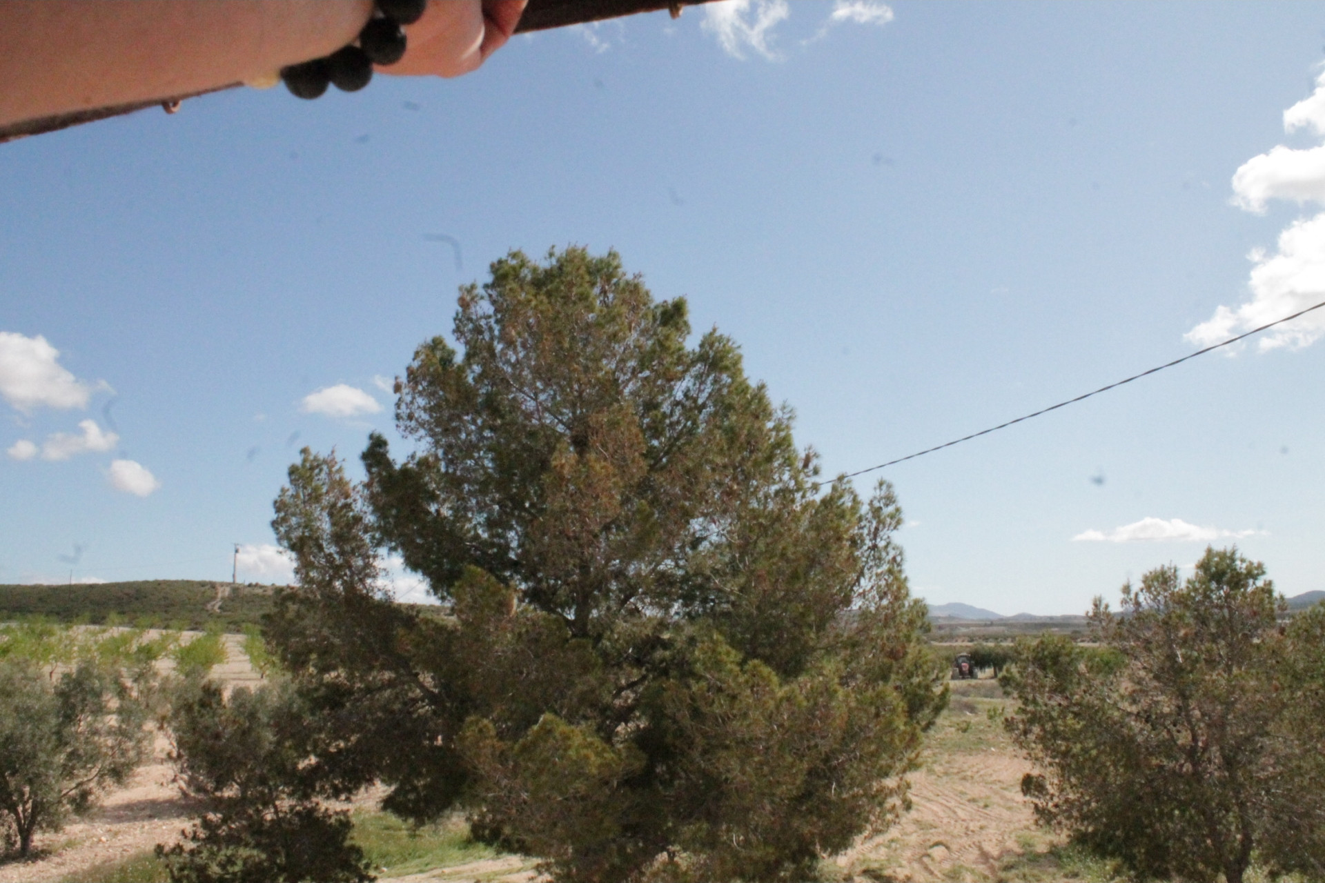 Resale - Finca / Country Property -
Cañada del Trigo - Canada del Trigo Murcia