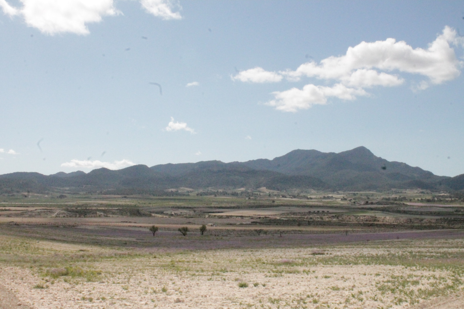 Resale - Finca / Country Property -
Cañada del Trigo - Canada del Trigo Murcia