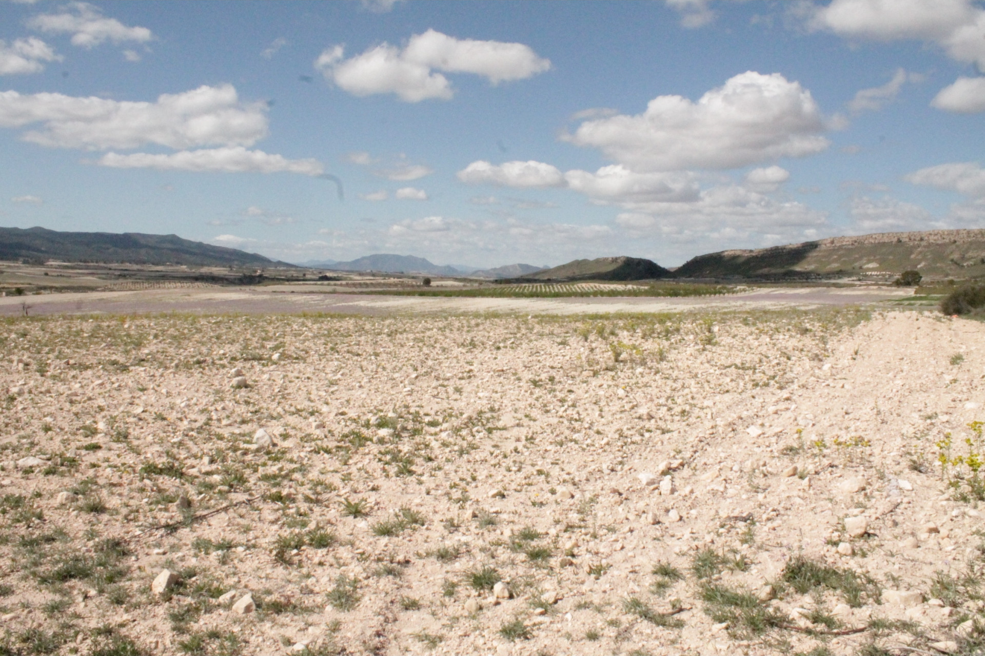 Resale - Finca / Country Property -
Cañada del Trigo - Canada del Trigo Murcia