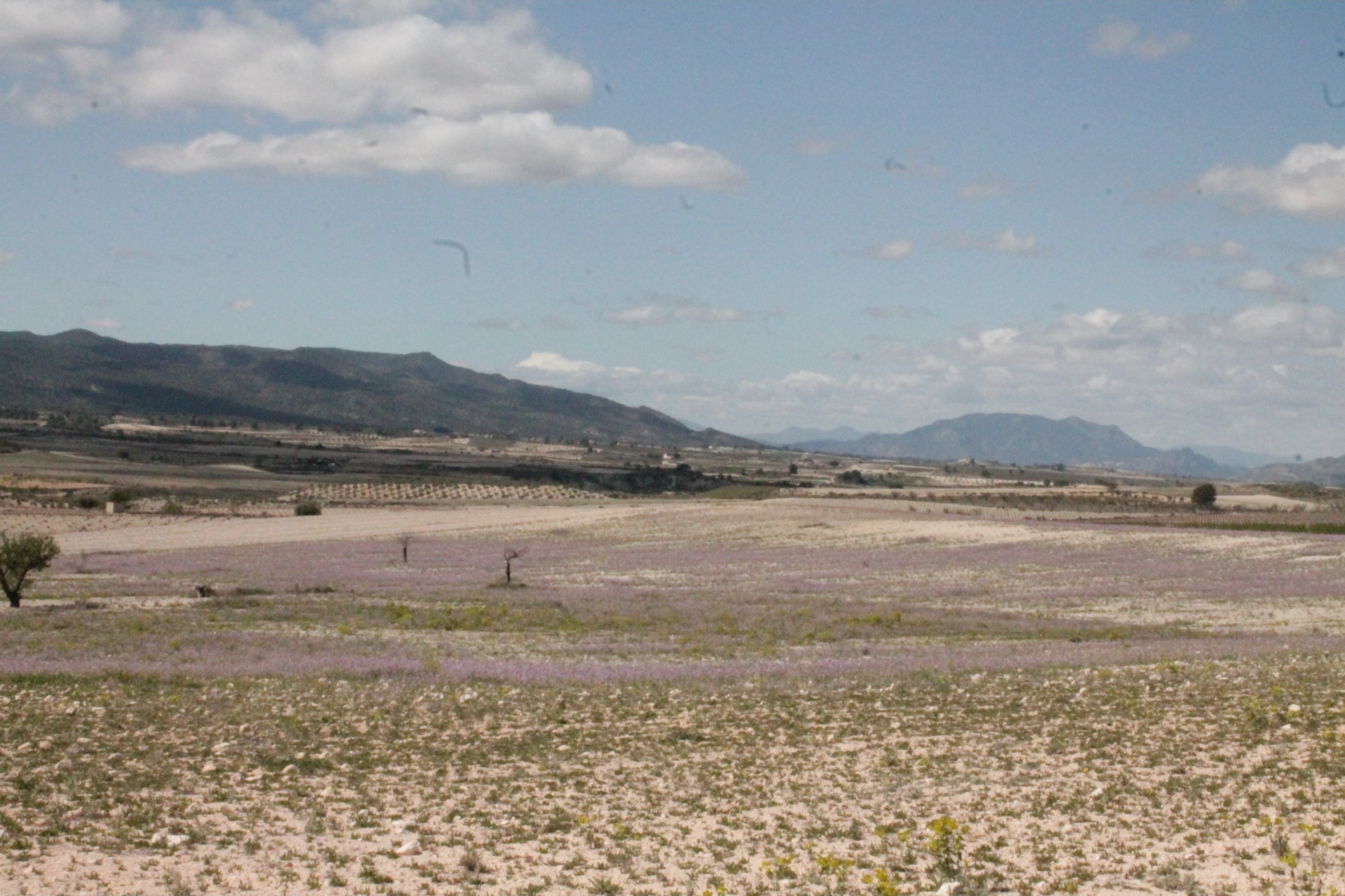 Resale - Finca / Country Property -
Cañada del Trigo - Canada del Trigo Murcia