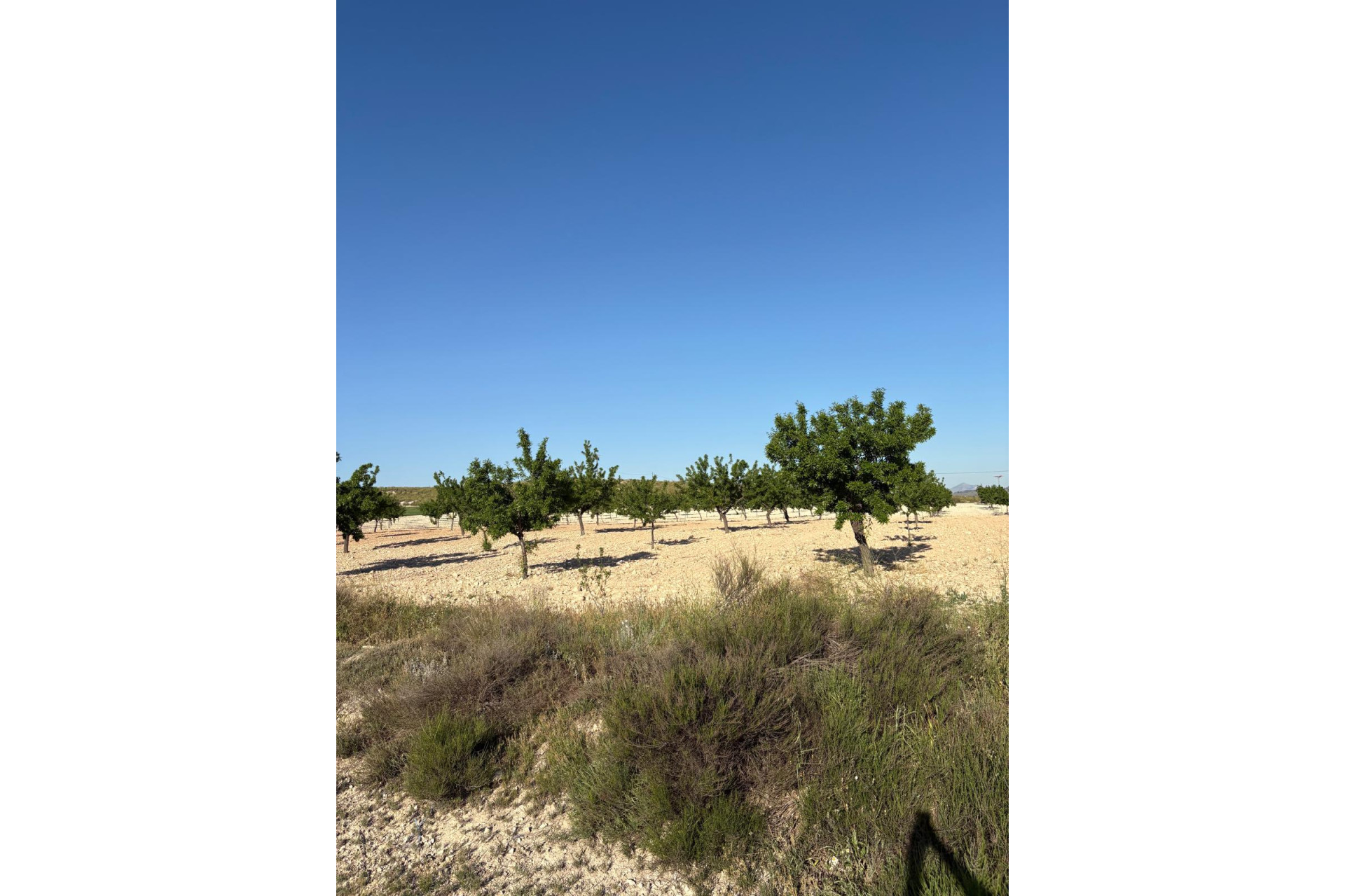 Resale - Finca / Country Property -
Cañada del Trigo - Canada del Trigo Murcia