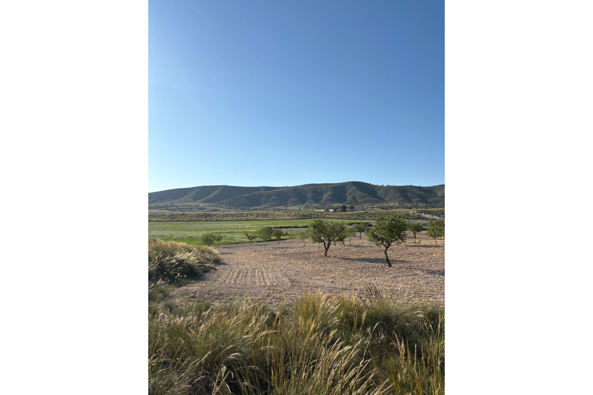 Resale - Finca / Country Property -
Cañada del Trigo - Canada del Trigo Murcia