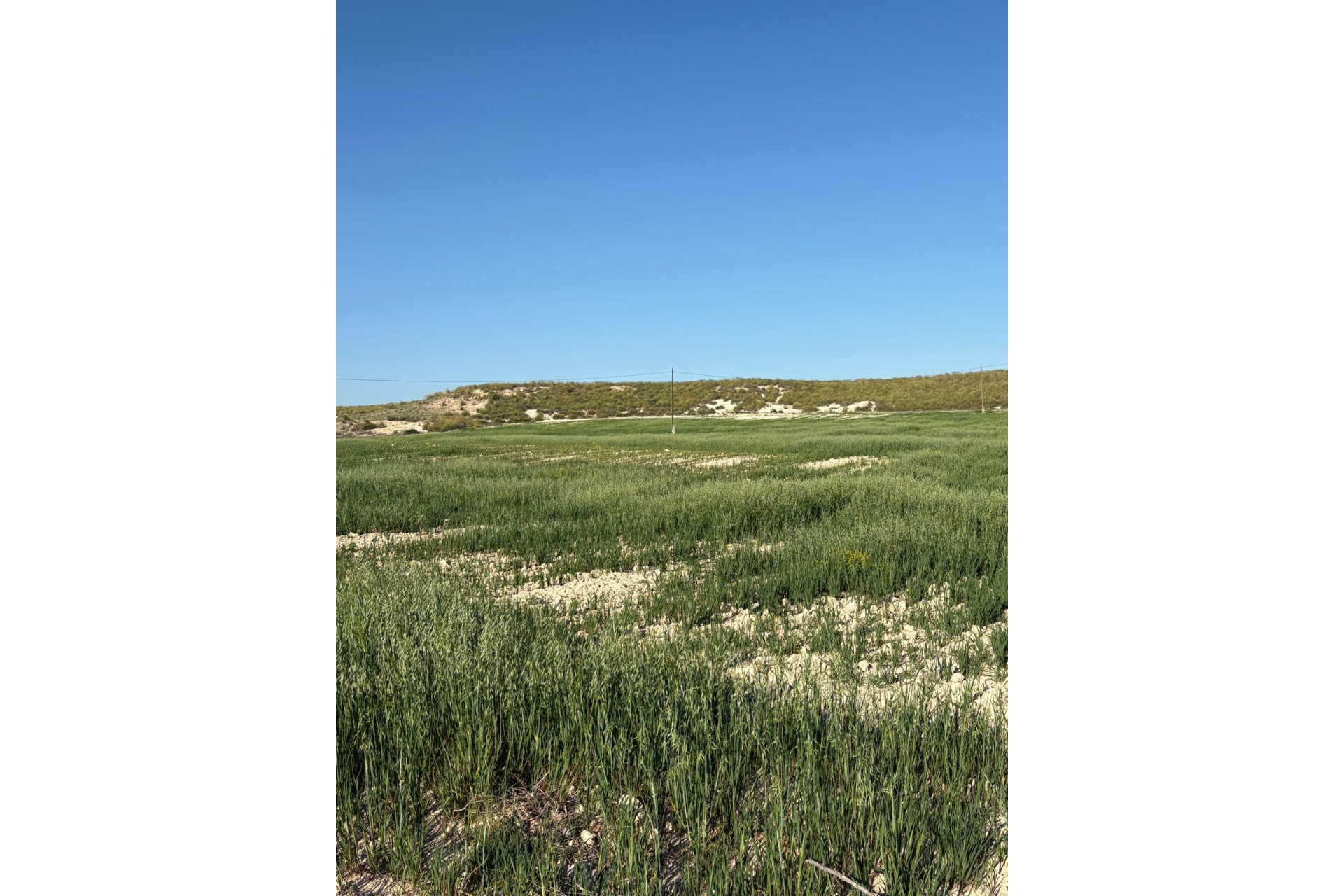 Resale - Finca / Country Property -
Cañada del Trigo - Canada del Trigo Murcia