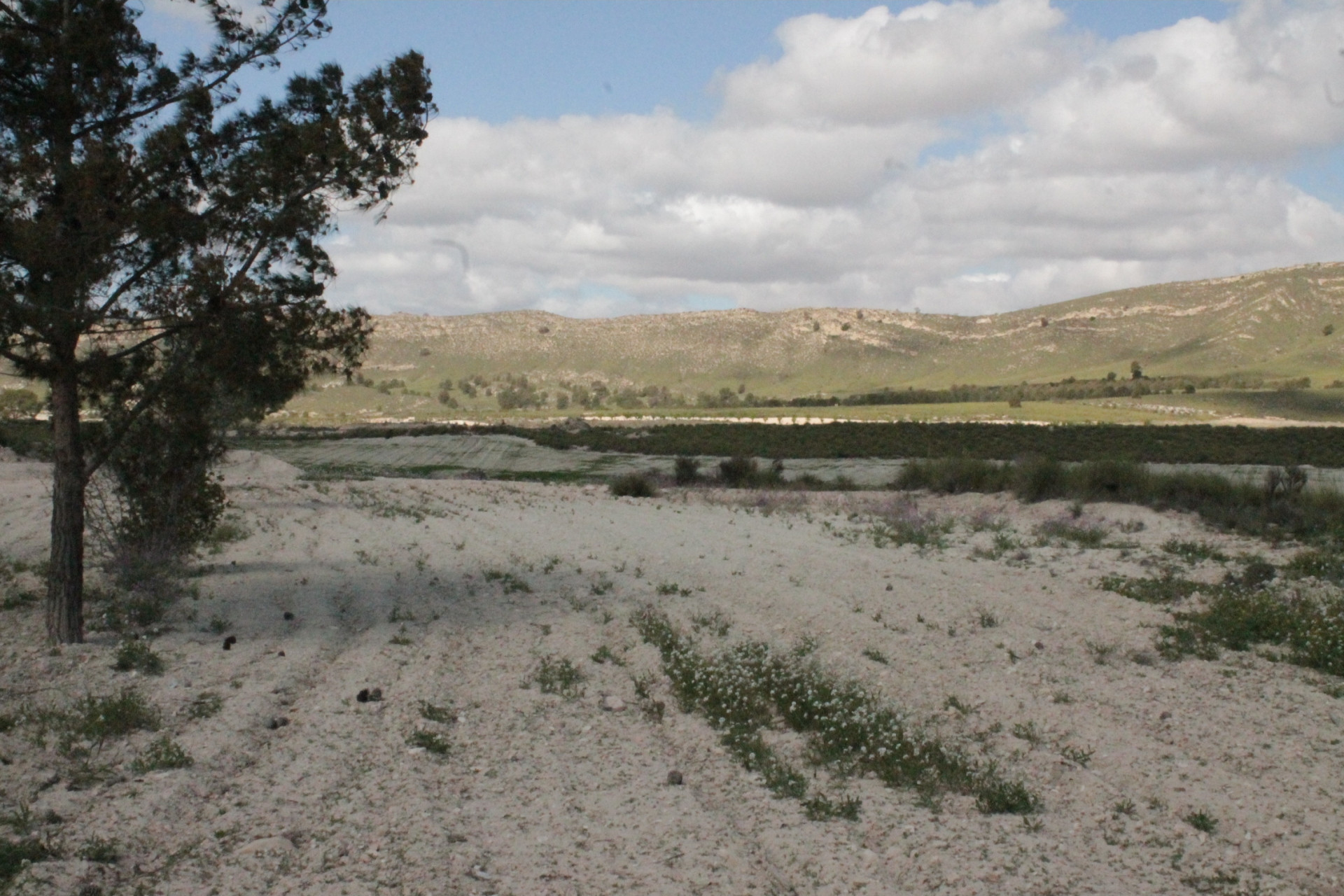 Resale - Finca / Country Property -
Cañada del Trigo - Canada del Trigo Murcia