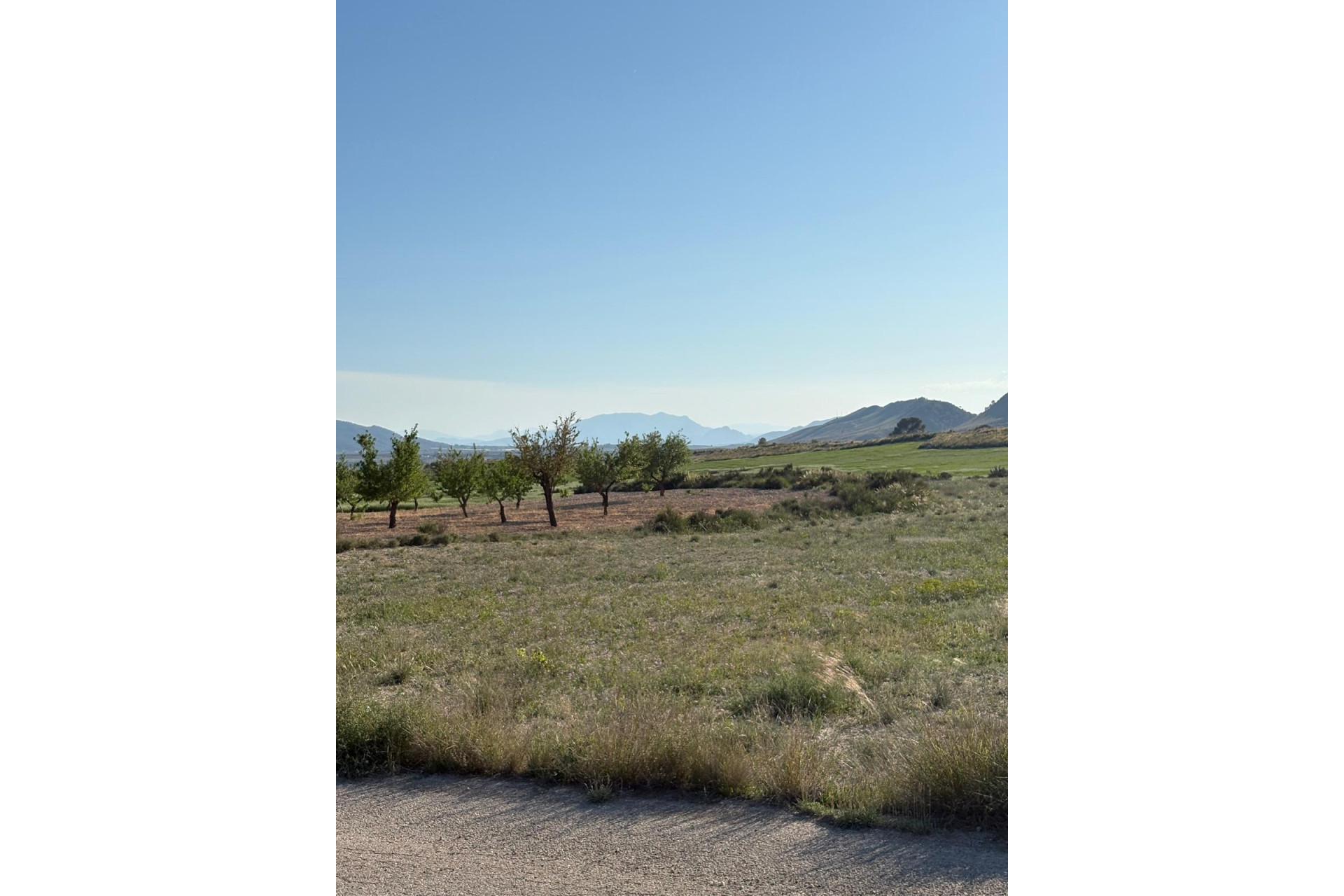 Resale - Finca / Country Property -
Cañada del Trigo - Canada del Trigo Murcia