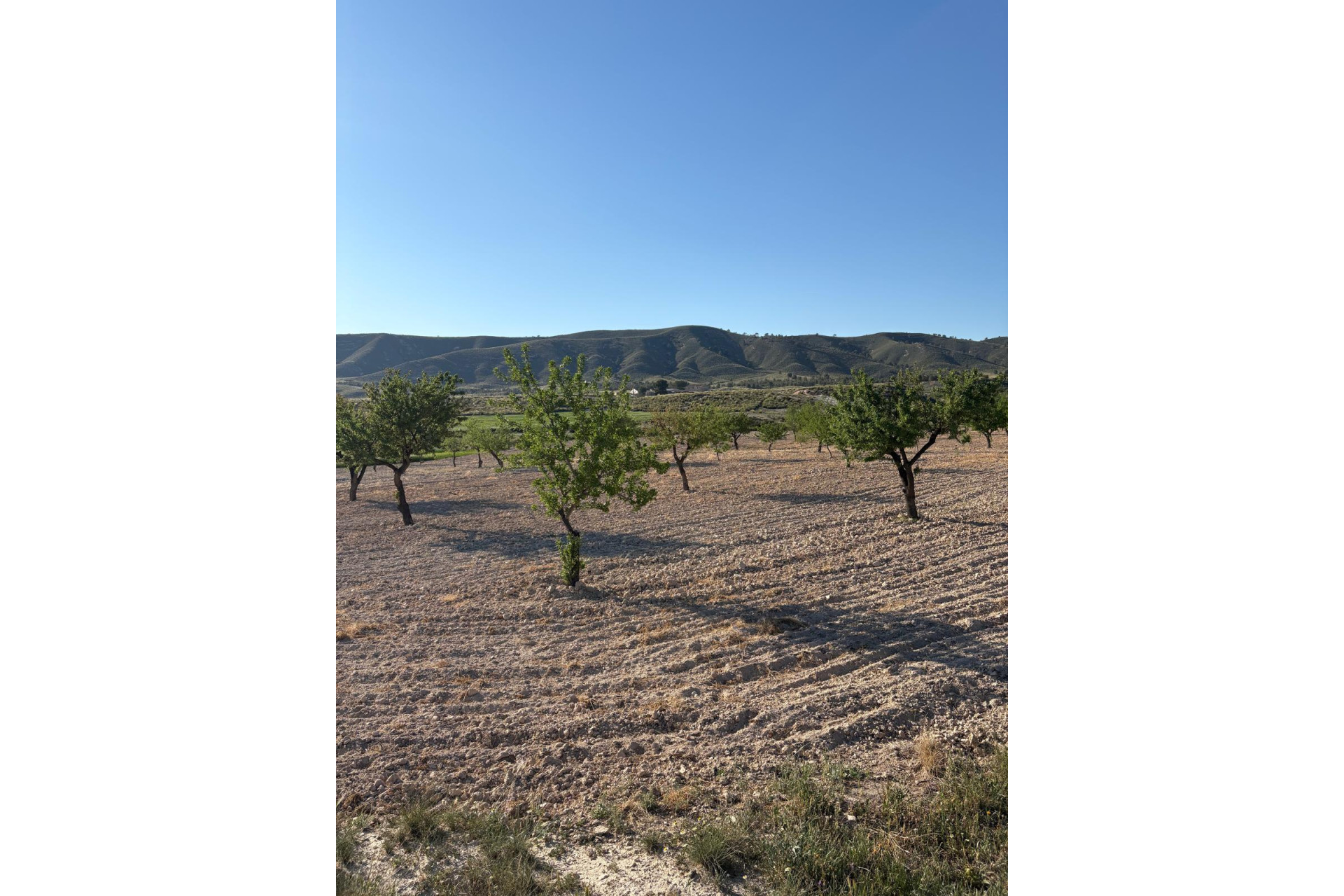 Resale - Finca / Country Property -
Cañada del Trigo - Canada del Trigo Murcia