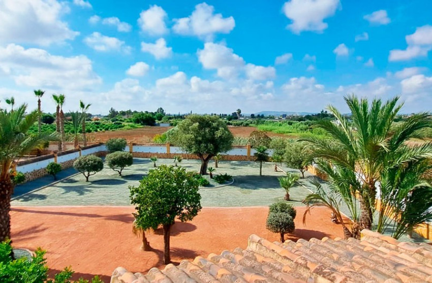 Resale - Finca / Country Property -
Catral - Catral - Country