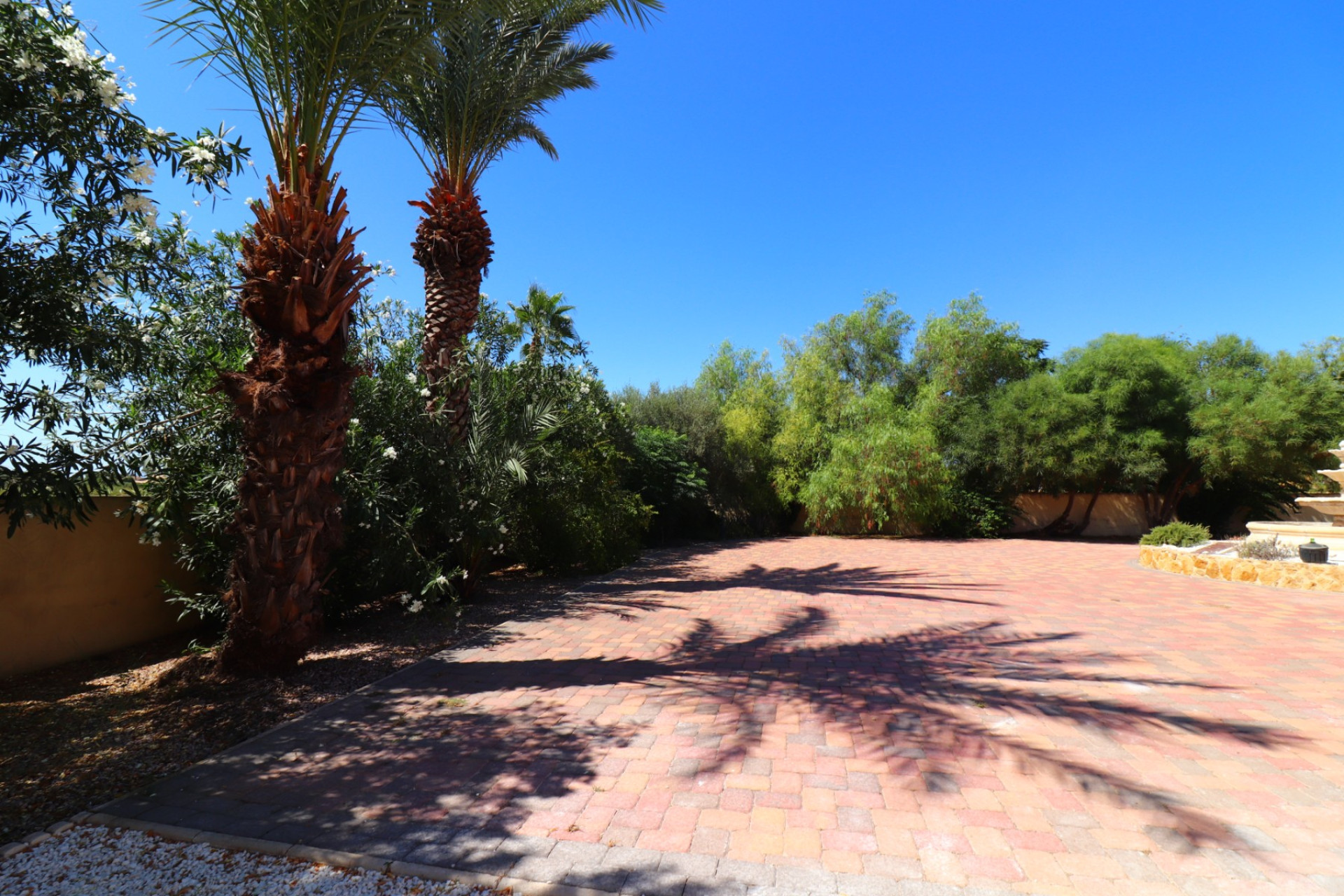 Resale - Finca / Country Property -
Catral - Catral - Country