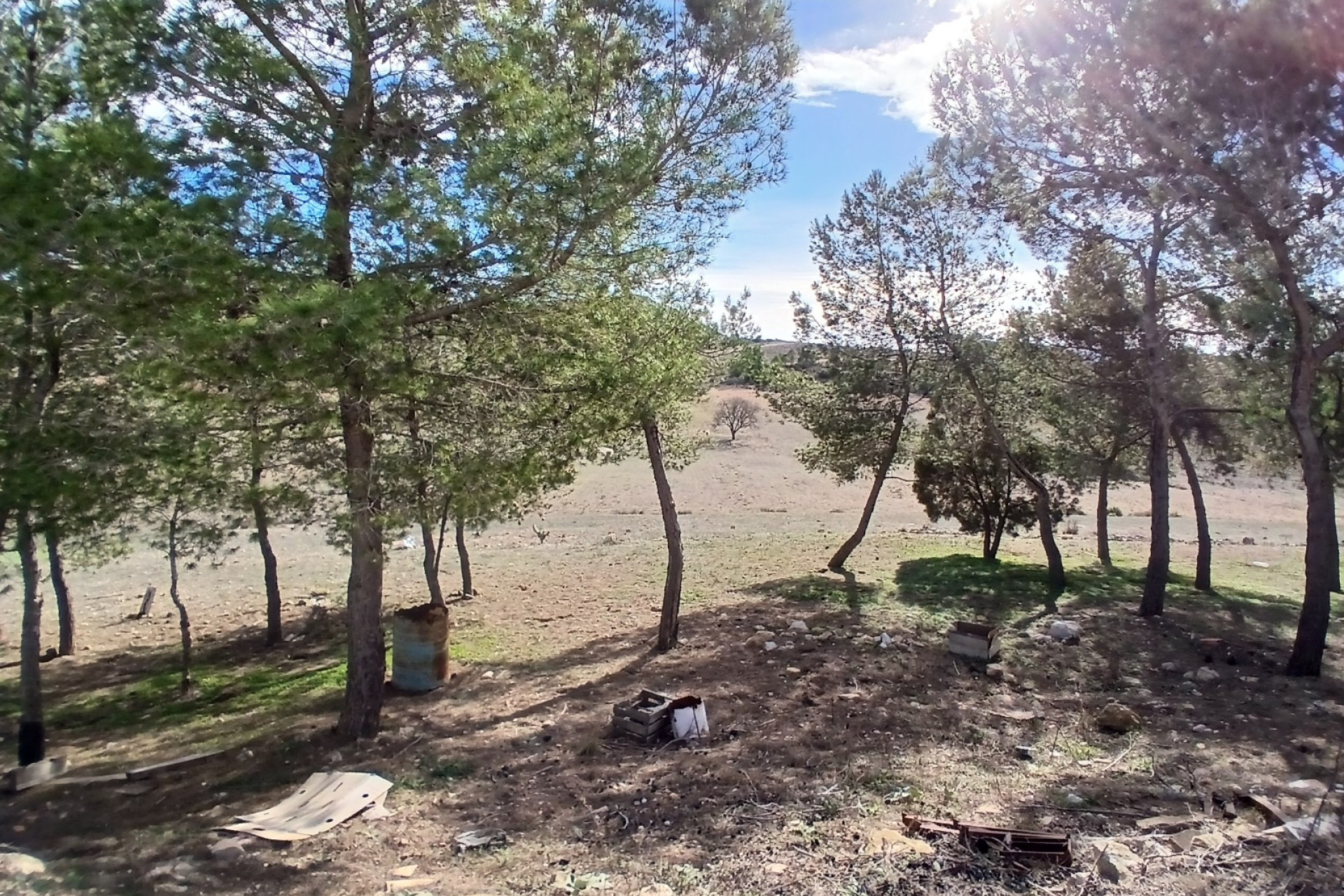 Resale - Finca / Country Property -
Caudete