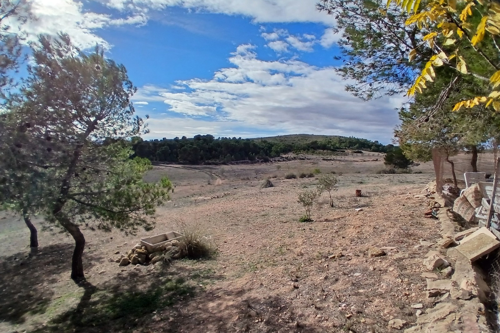 Resale - Finca / Country Property -
Caudete