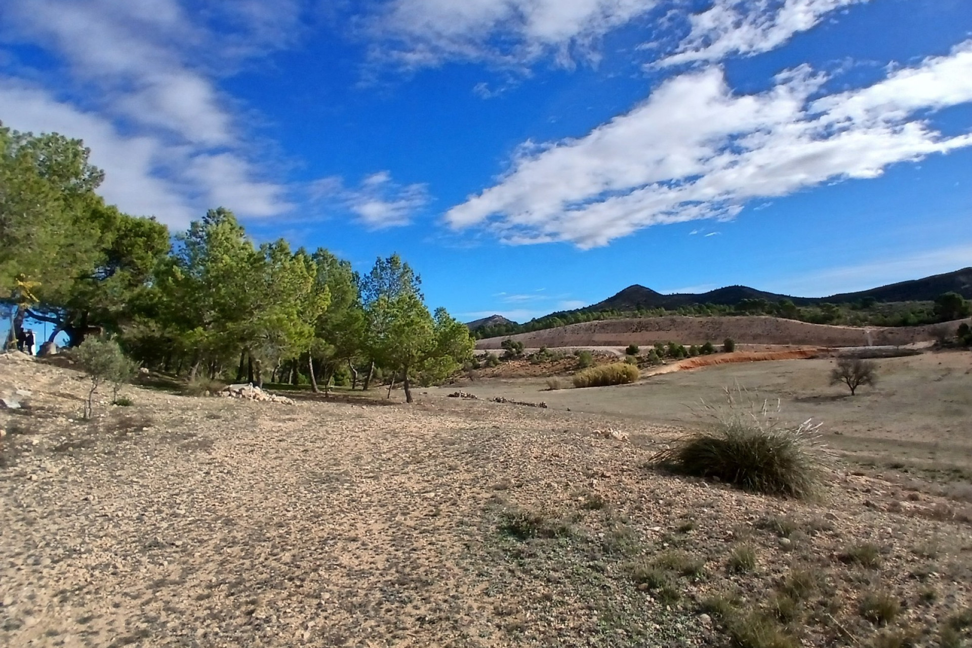 Resale - Finca / Country Property -
Caudete