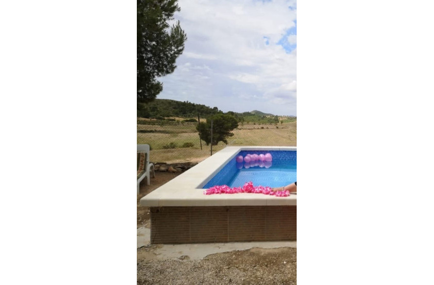 Resale - Finca - Country Property -
Caudete