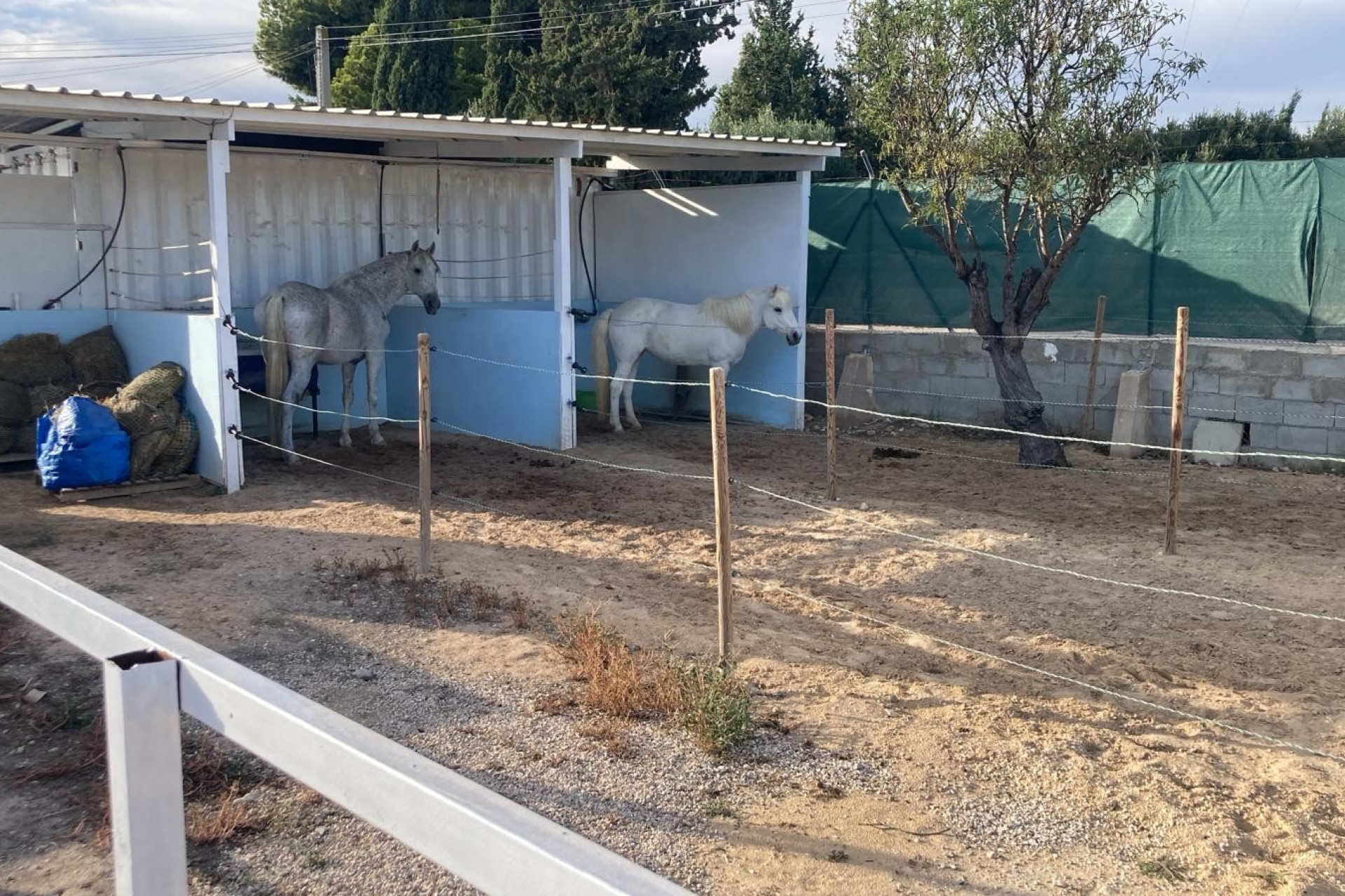 Resale - Finca - Country Property -
Crevillente
