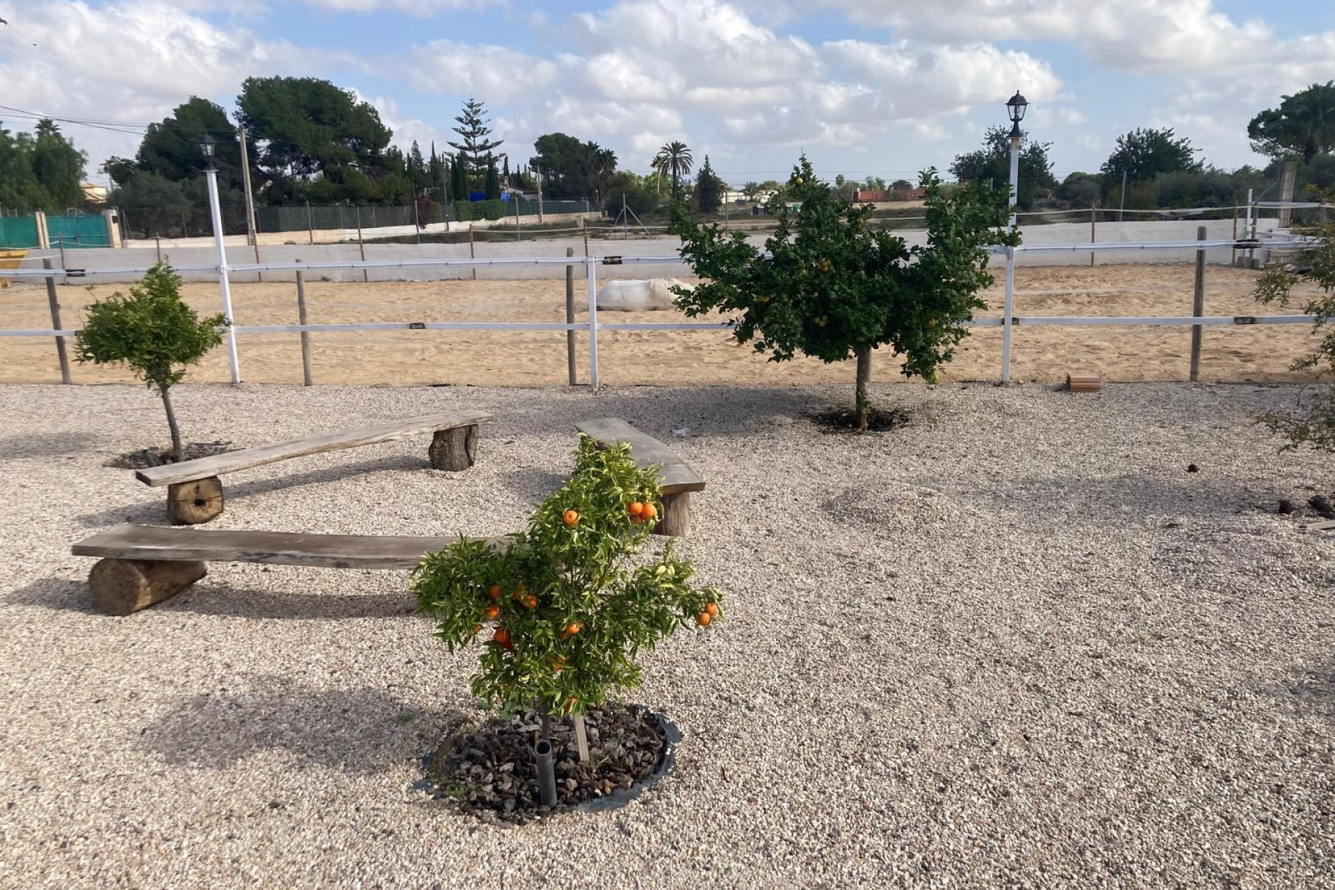 Resale - Finca - Country Property -
Crevillente
