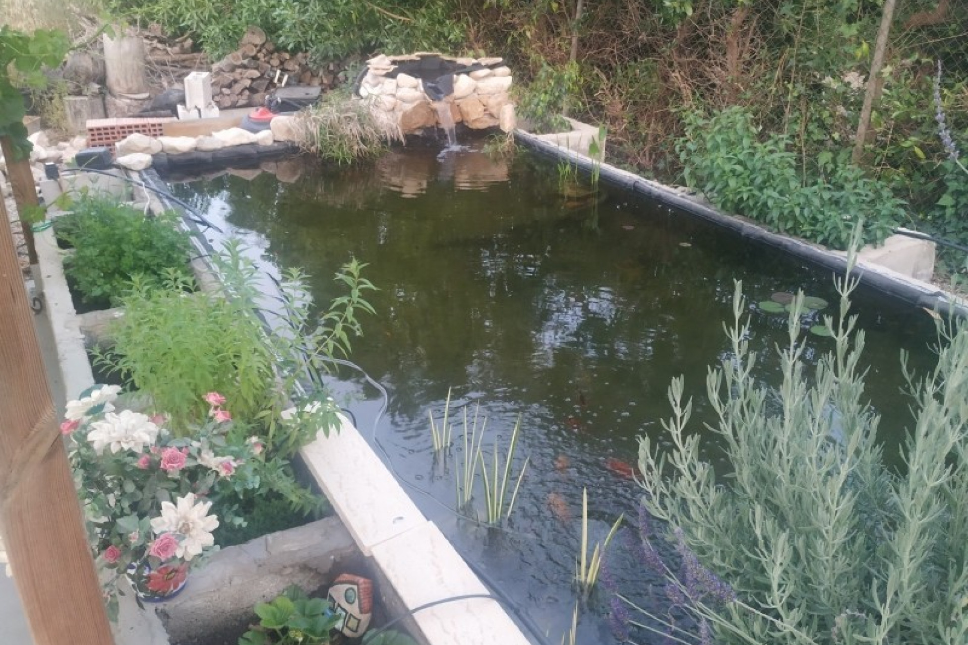 Resale - Finca - Country Property -
Crevillente