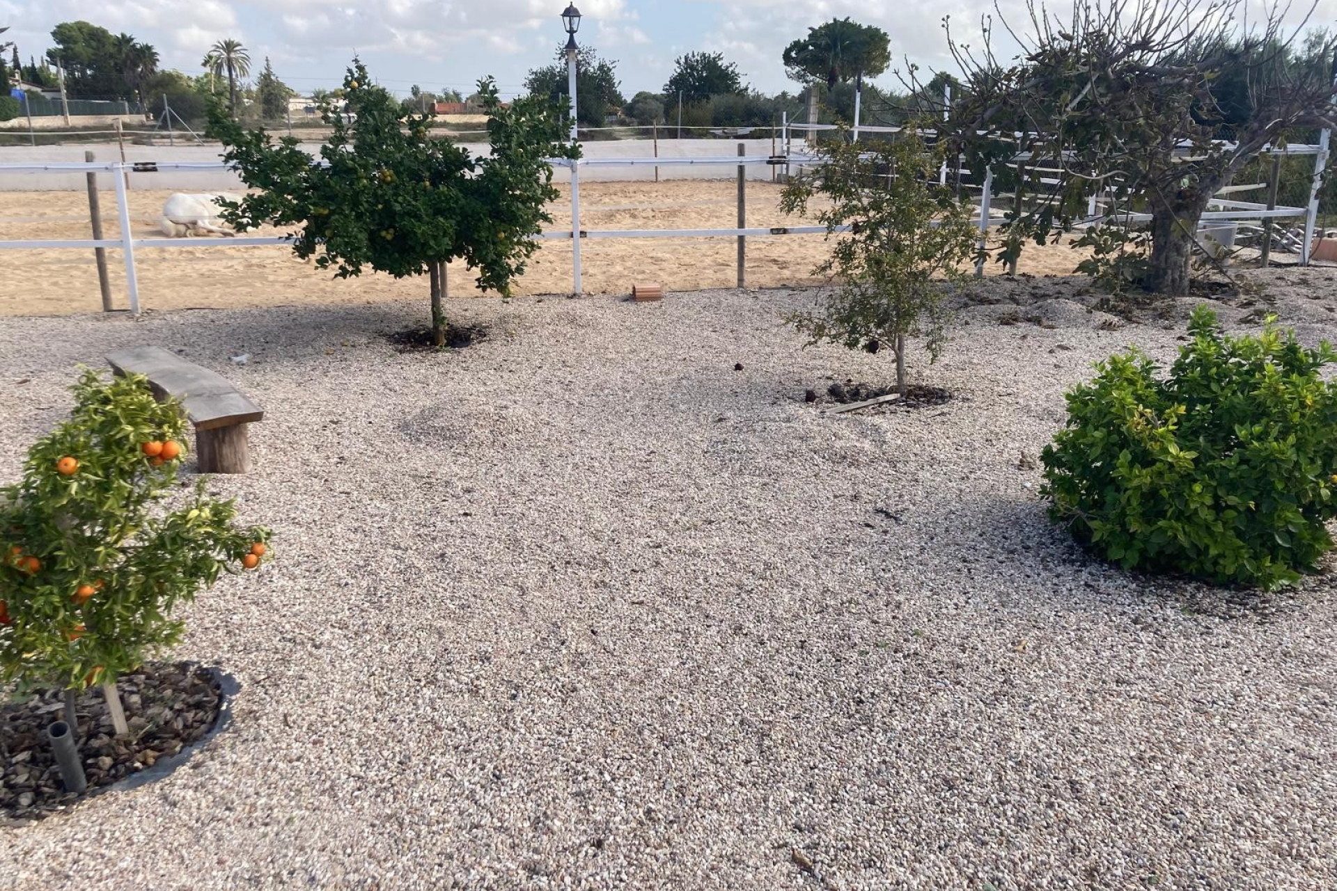 Resale - Finca - Country Property -
Crevillente