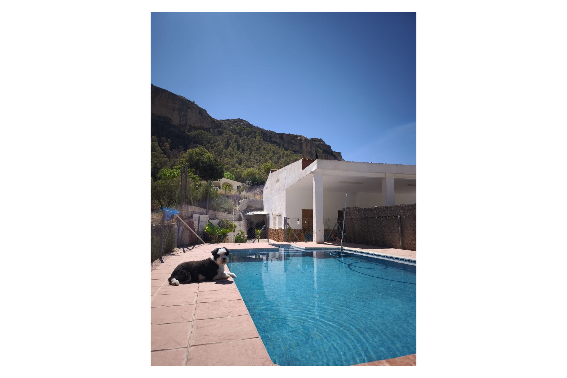 Resale - Finca - Country Property -
Crevillente