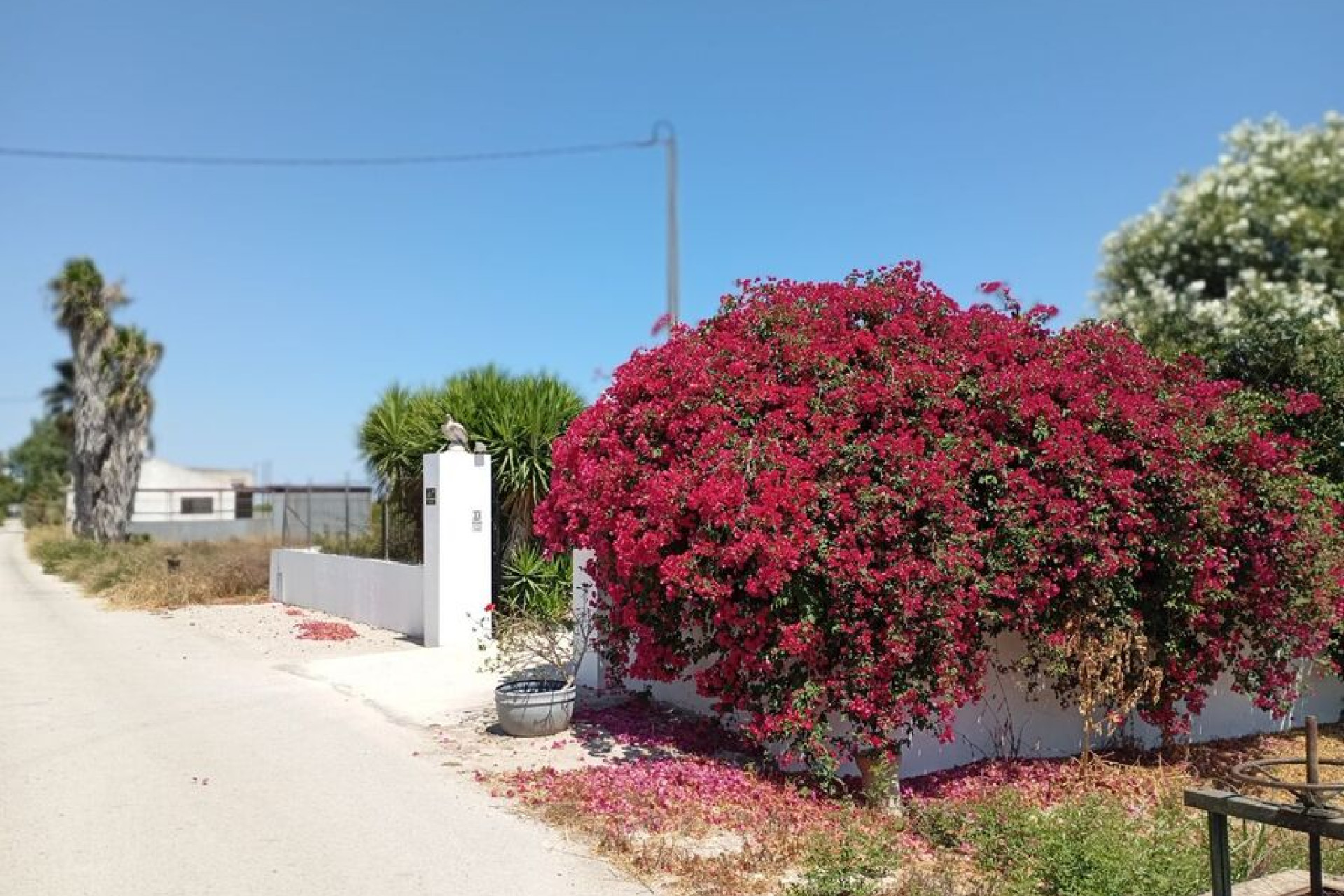 Resale - Finca - Country Property -
Daya Nueva - Costa Blanca