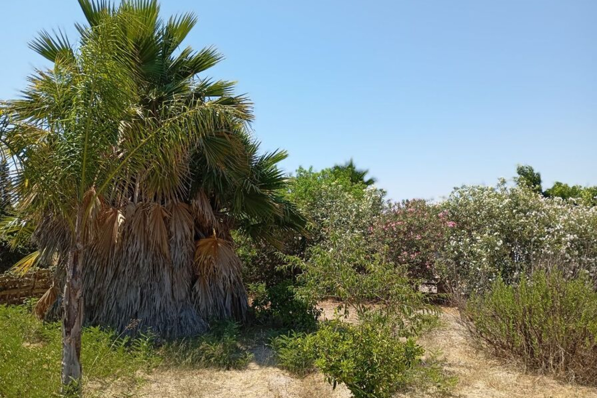 Resale - Finca - Country Property -
Daya Nueva - Costa Blanca