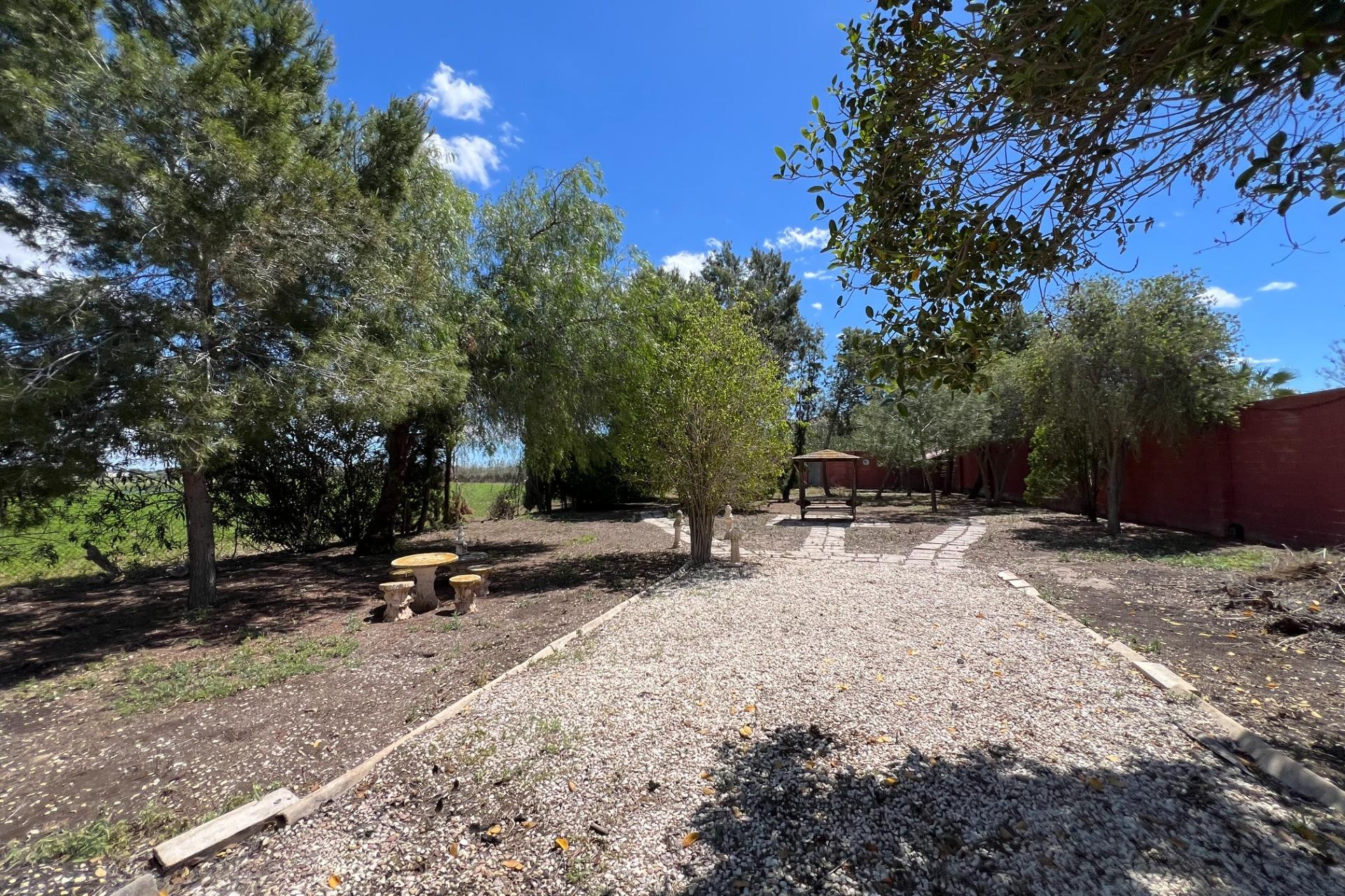 Resale - Finca - Country Property -
Dolores - Comunidad Valenciana