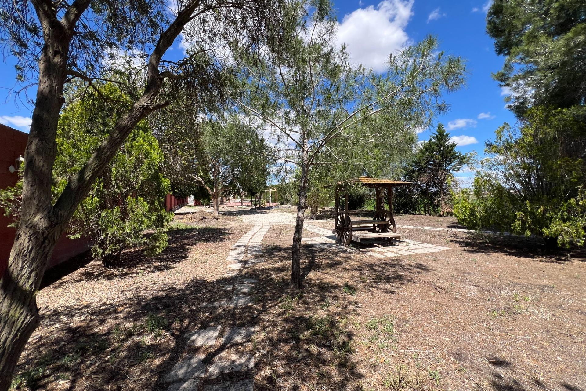 Resale - Finca - Country Property -
Dolores - Comunidad Valenciana