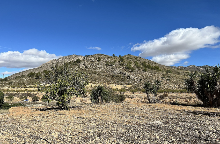 Resale - Finca / Country Property -
El Canton