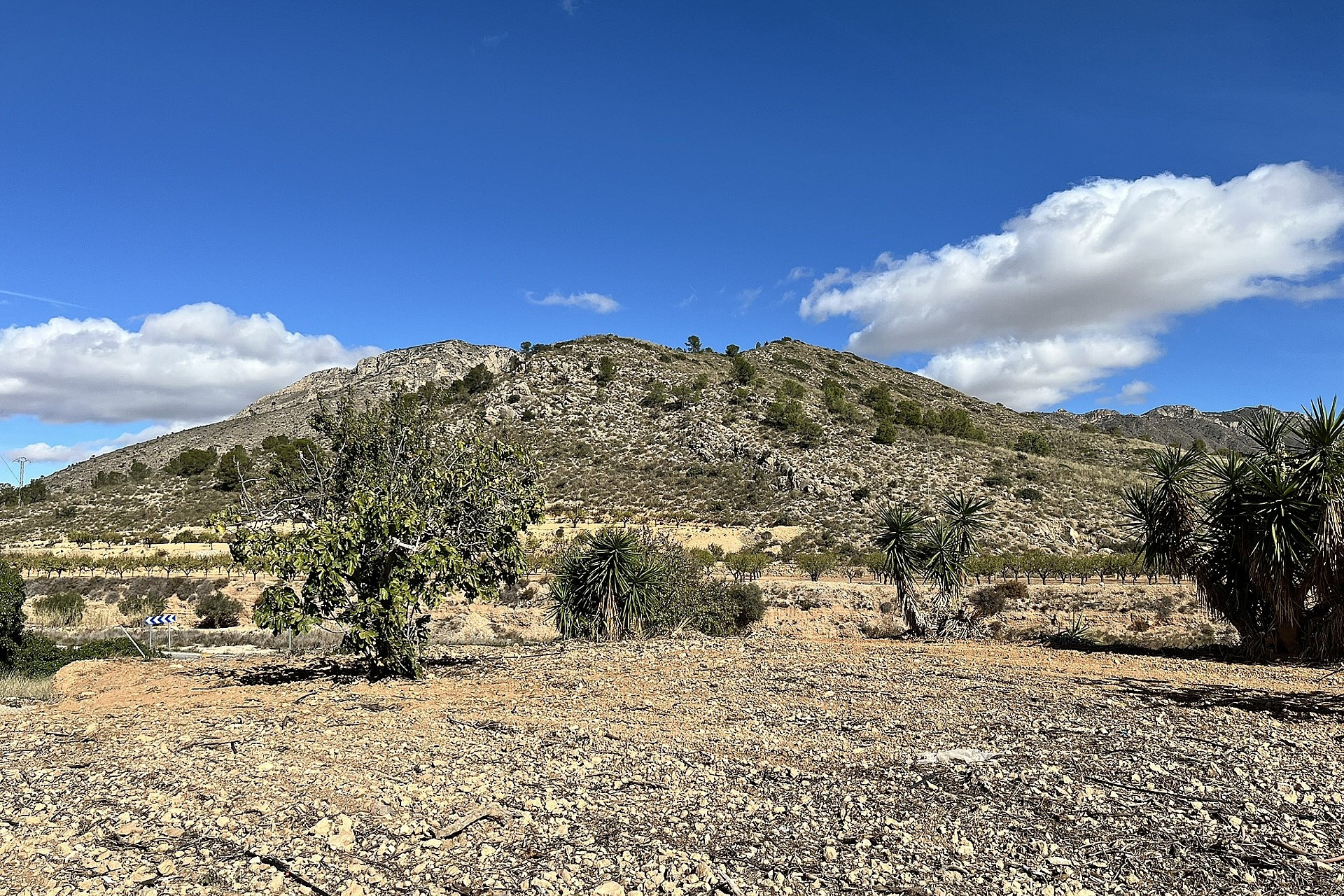 Resale - Finca / Country Property -
El Canton