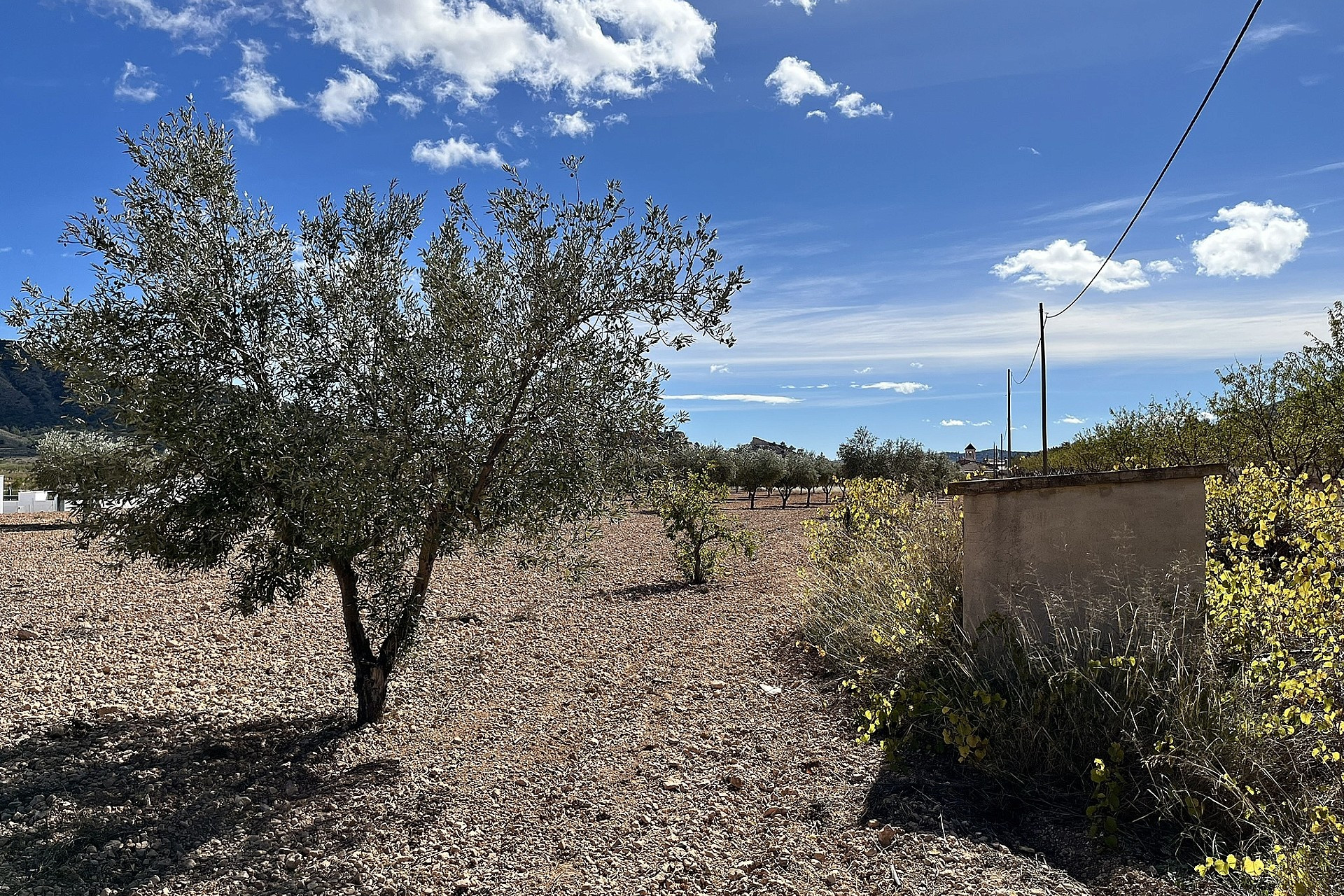 Resale - Finca / Country Property -
El Canton