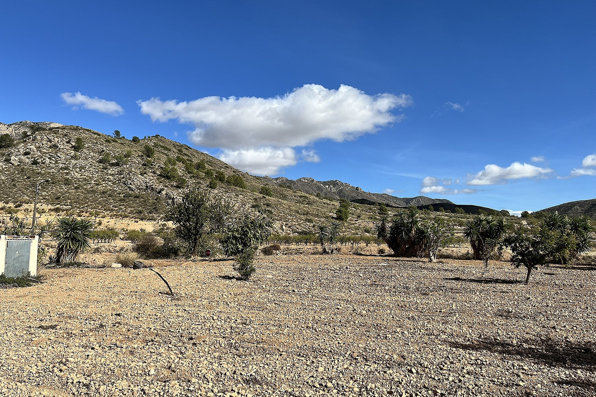 Resale - Finca / Country Property -
El Canton