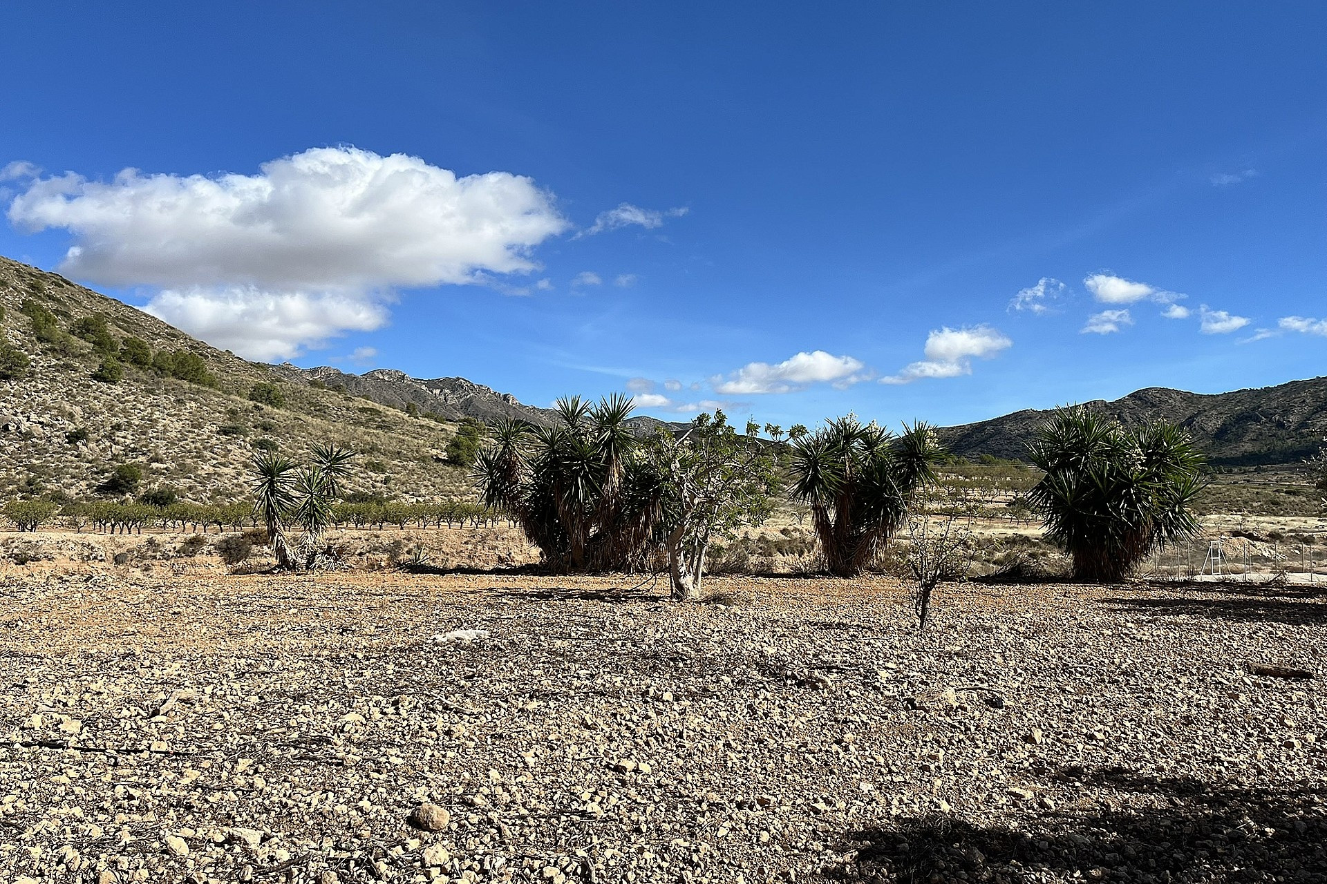 Resale - Finca / Country Property -
El Canton