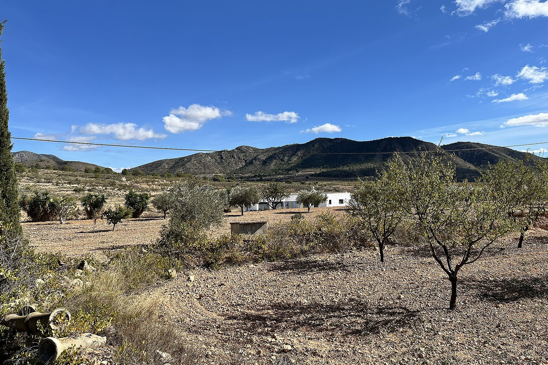 Resale - Finca / Country Property -
El Canton