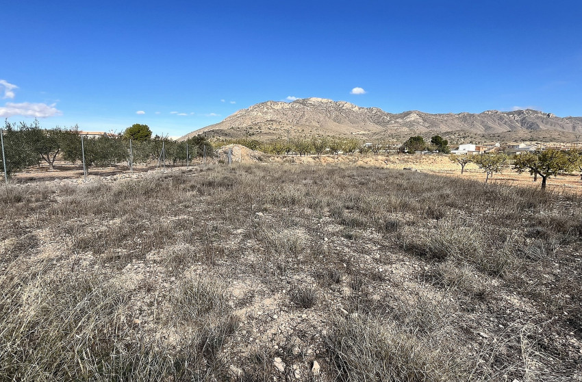 Resale - Finca / Country Property -
El Canton