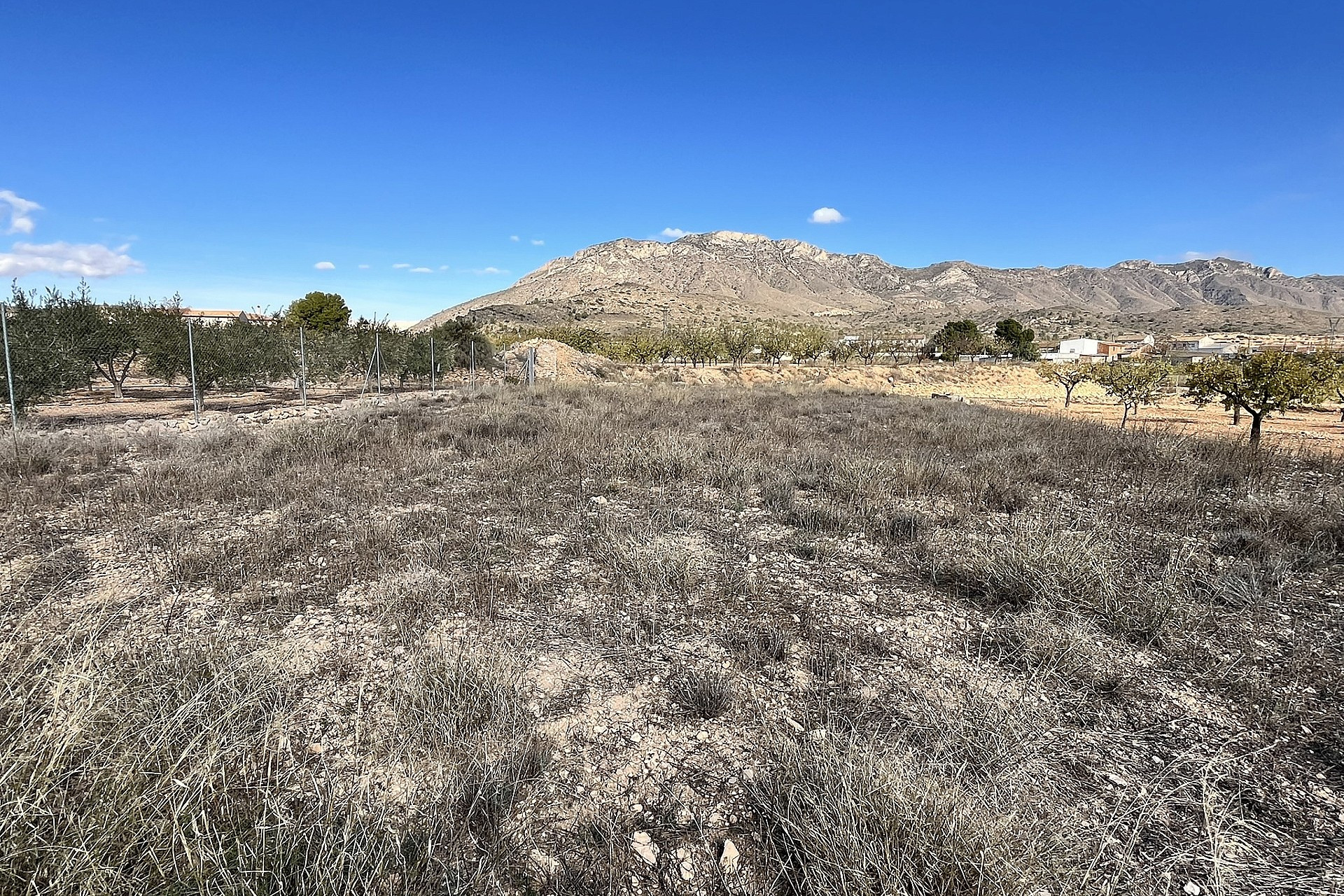 Resale - Finca / Country Property -
El Canton