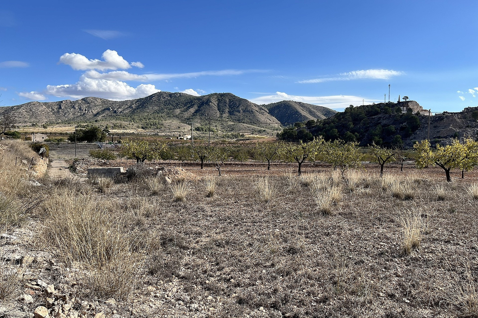 Resale - Finca / Country Property -
El Canton