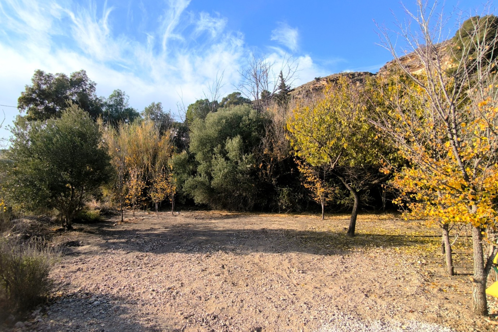 Resale - Finca - Country Property -
Fortuna