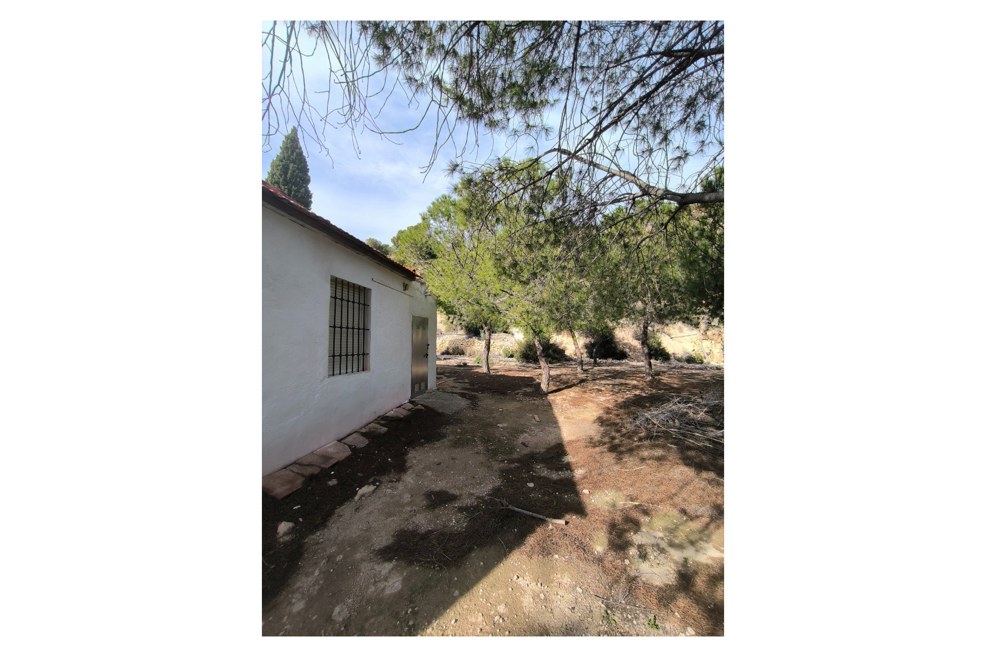 Resale - Finca - Country Property -
Fortuna