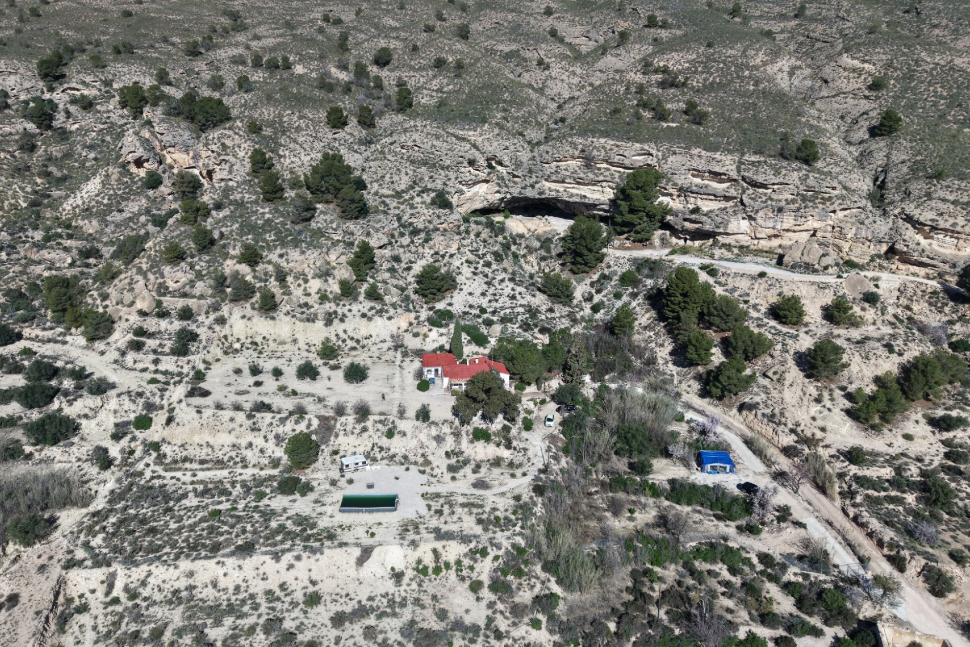 Resale - Finca - Country Property -
Fortuna