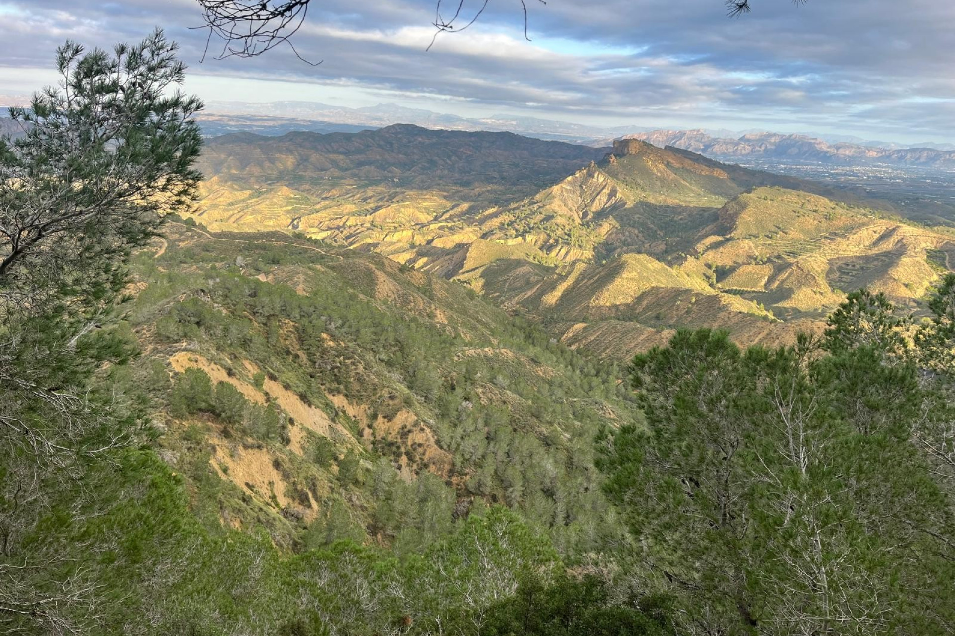 Resale - Finca - Country Property -
Gea y Truyols