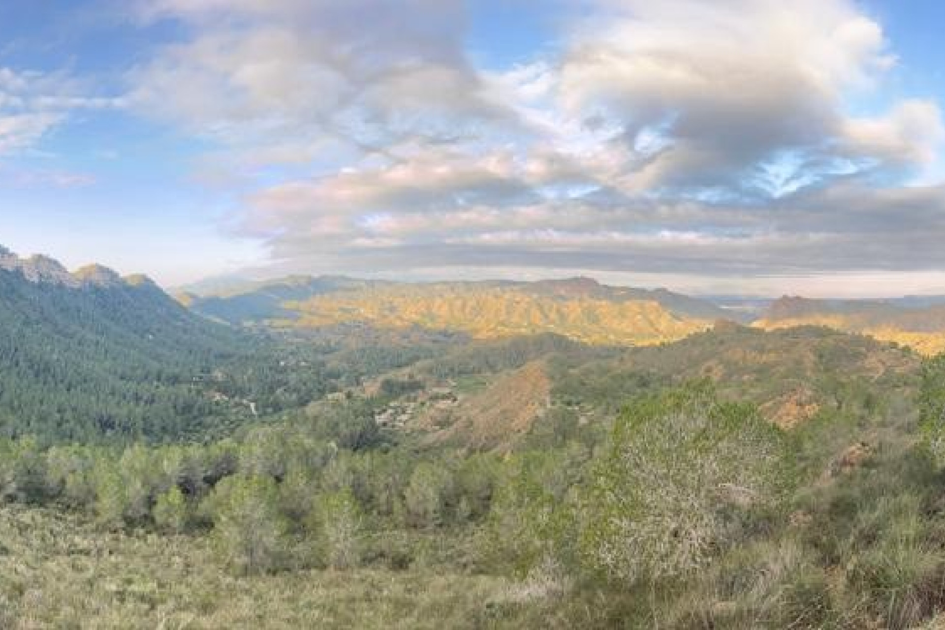 Resale - Finca - Country Property -
Gea y Truyols