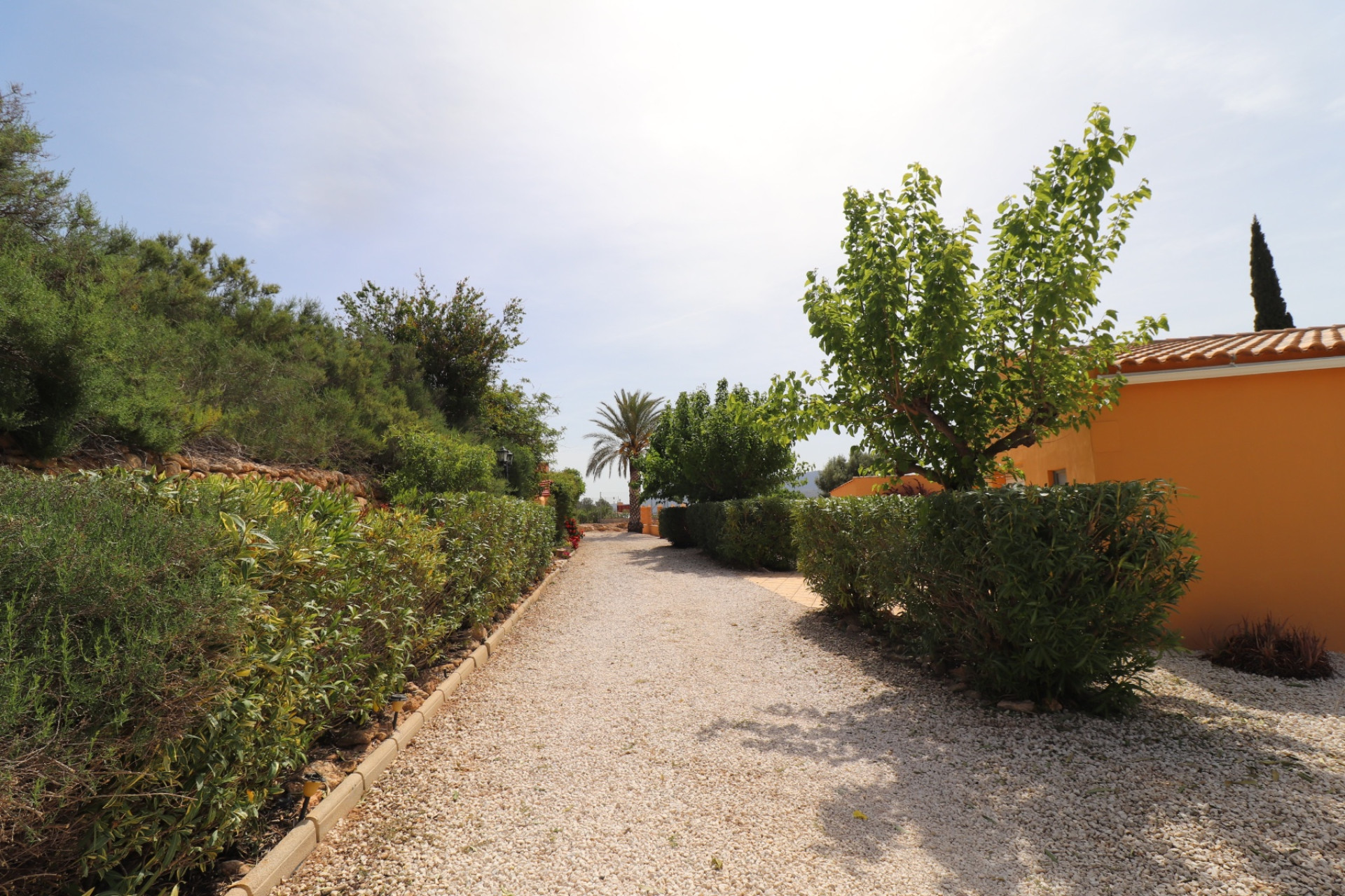 Resale - Finca - Country Property -
Hondón de las Nieves - La Canalosa