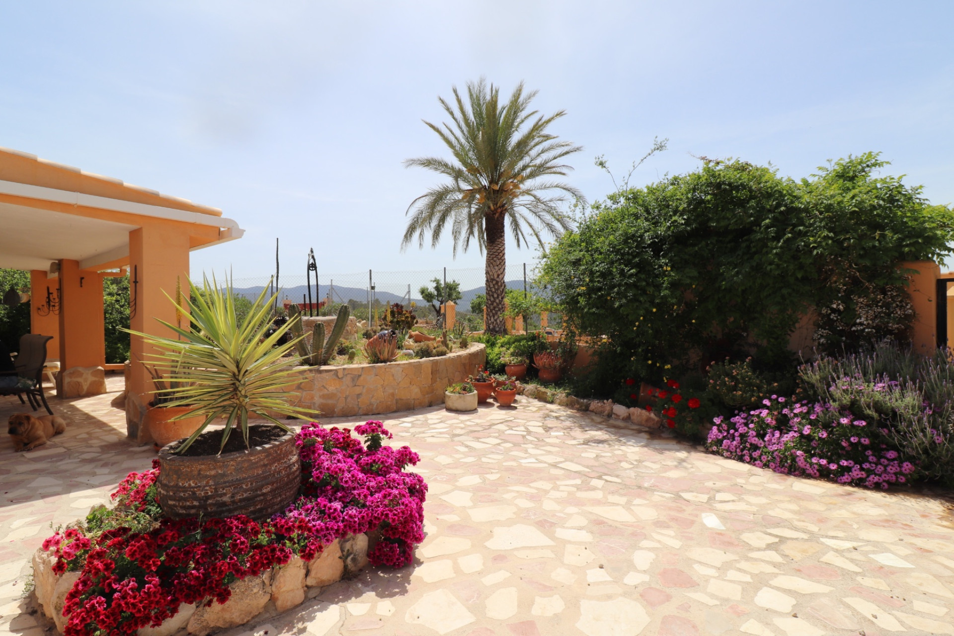 Resale - Finca - Country Property -
Hondón de las Nieves - La Canalosa