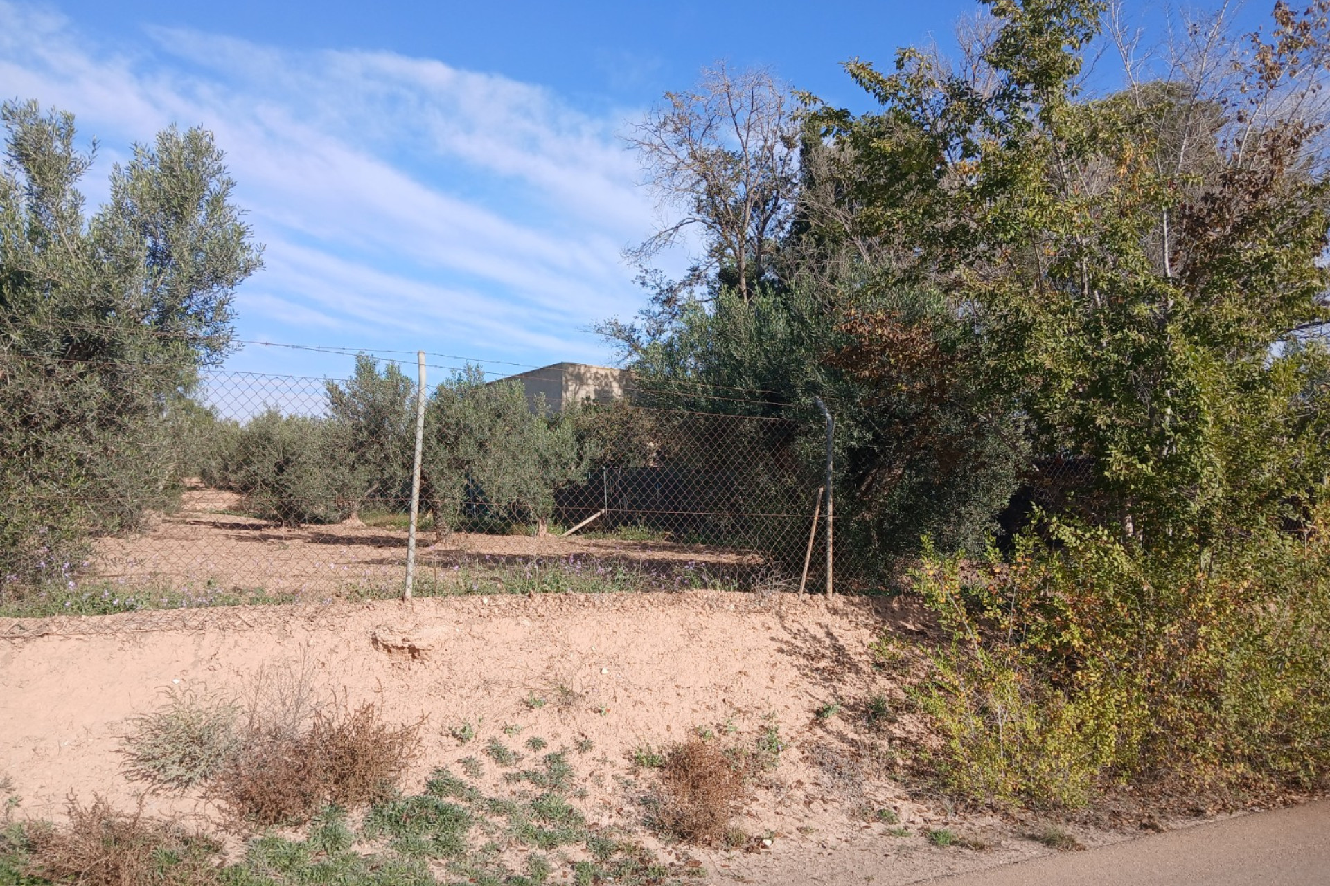 Resale - Finca / Country Property -
Jumilla