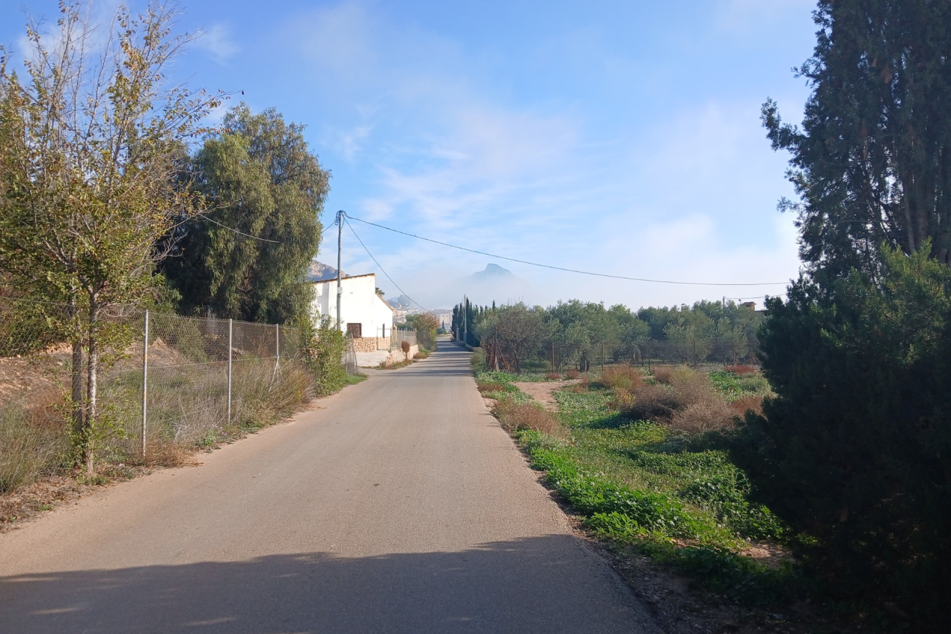 Resale - Finca / Country Property -
Jumilla