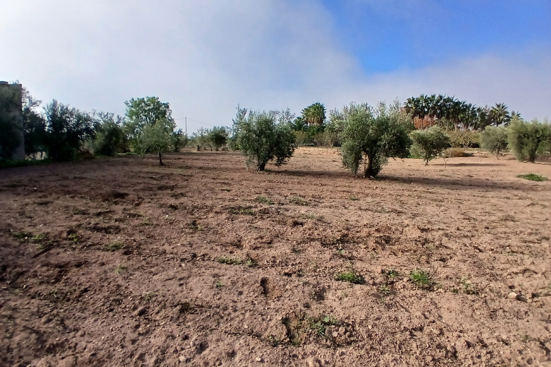 Resale - Finca / Country Property -
Jumilla