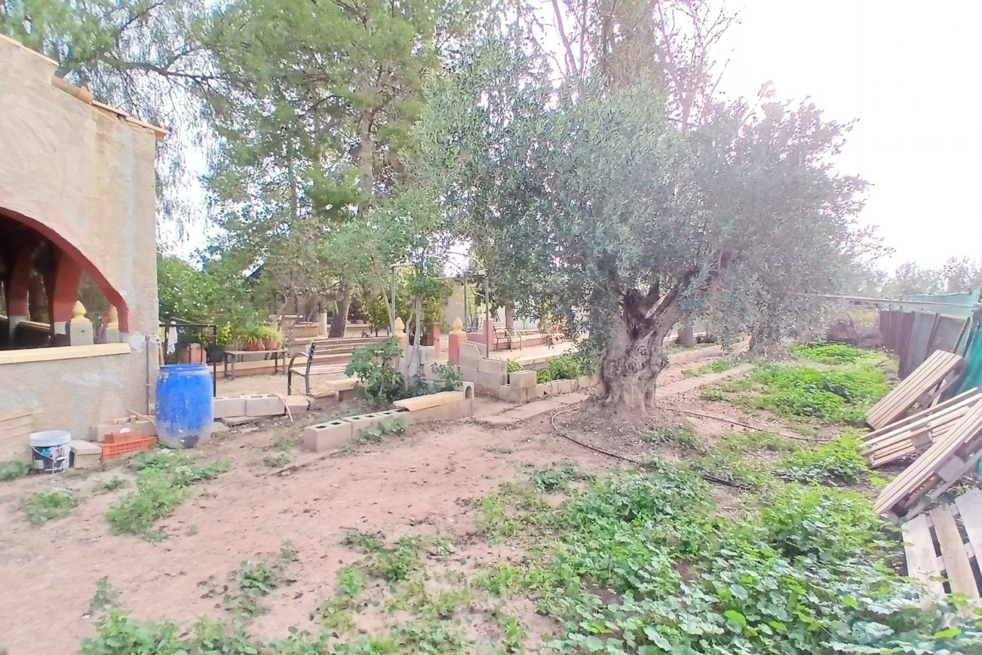 Resale - Finca / Country Property -
Jumilla