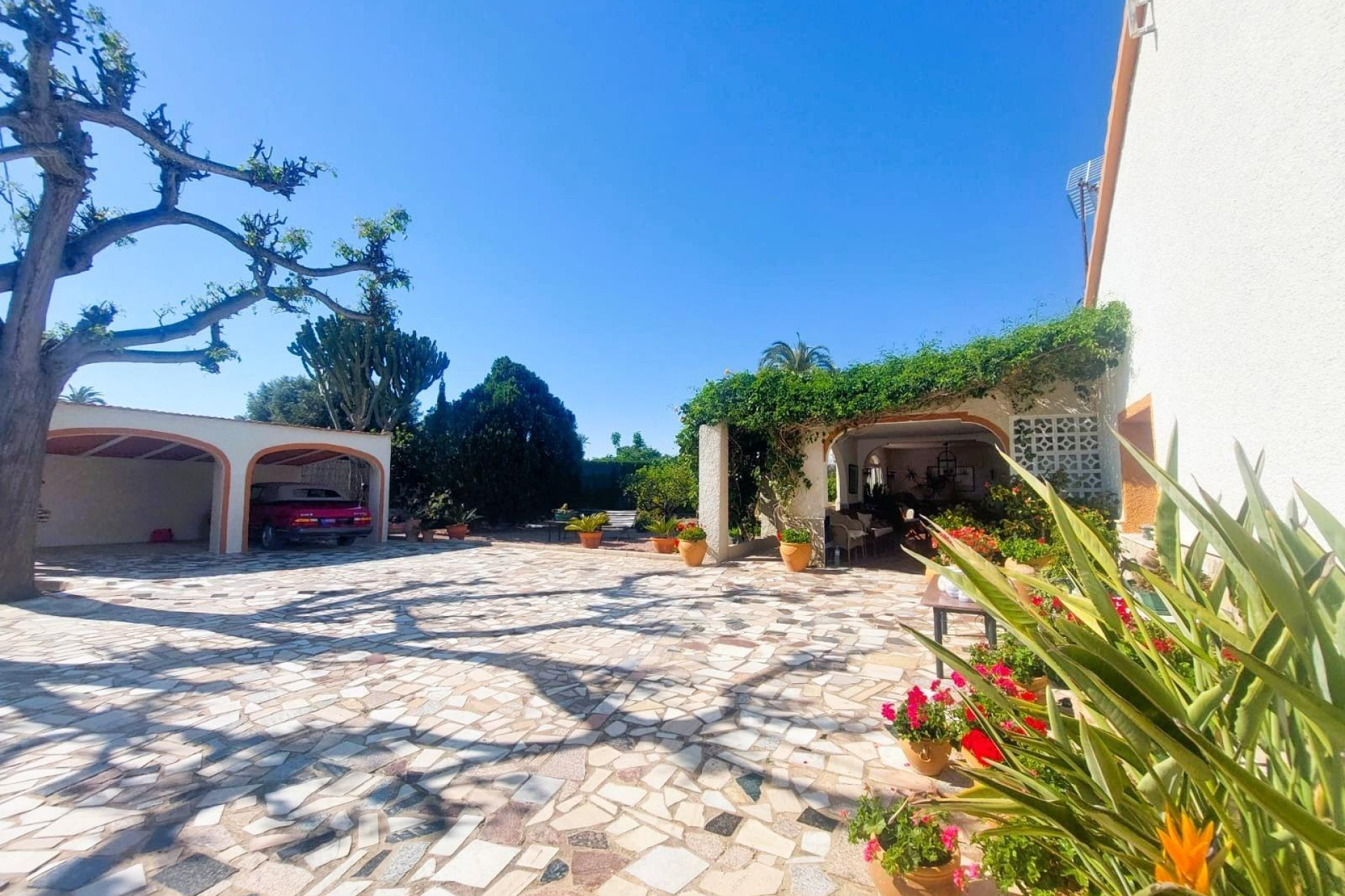 Resale - Finca - Country Property -
La Marina - Costa Blanca