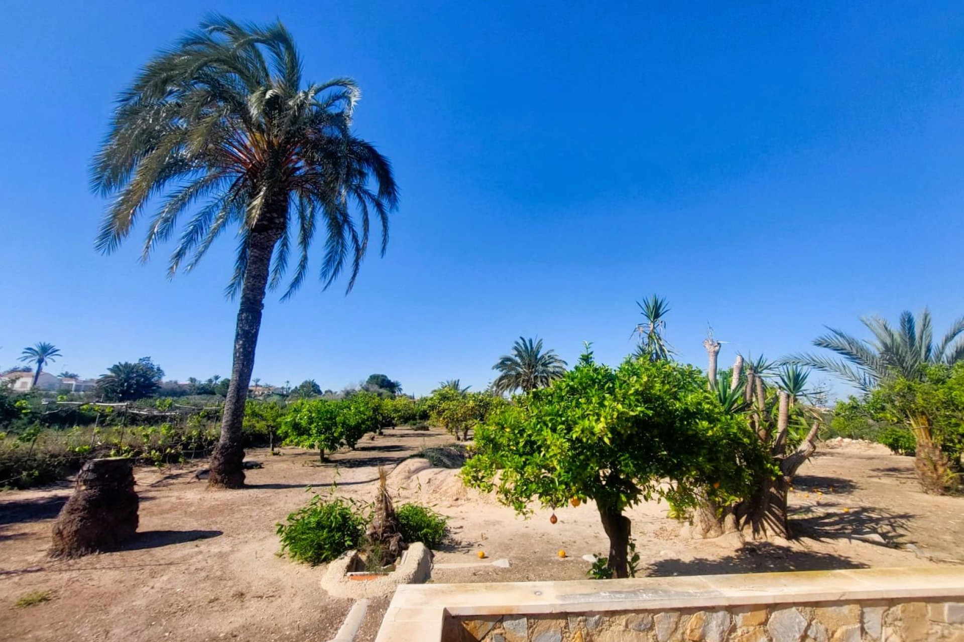 Resale - Finca - Country Property -
La Marina - Costa Blanca