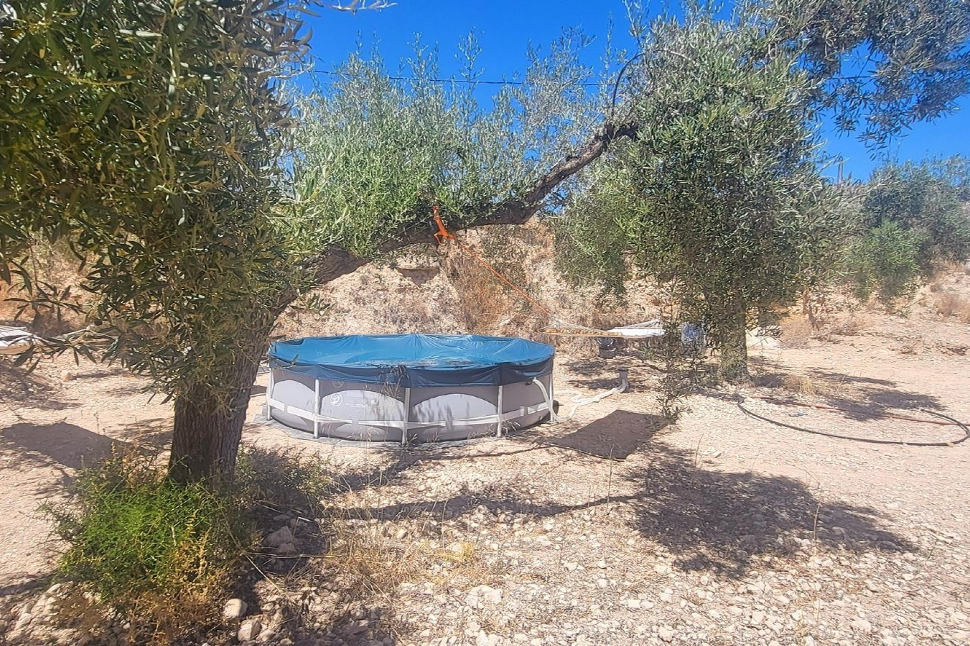 Resale - Finca - Country Property -
La Romana