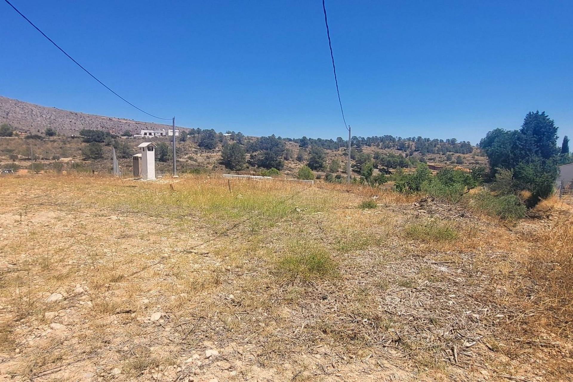 Resale - Finca - Country Property -
La Romana