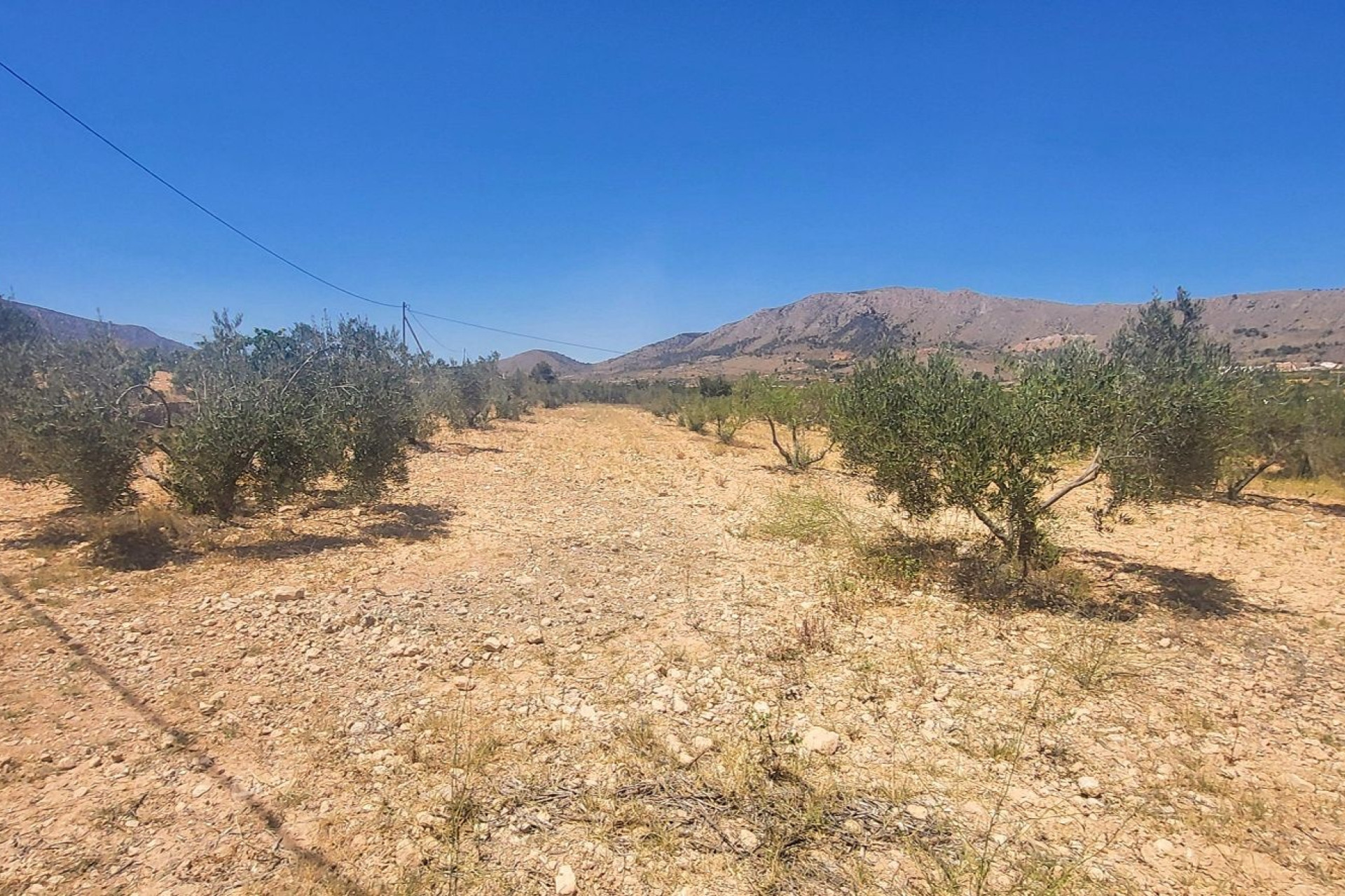 Resale - Finca - Country Property -
La Romana